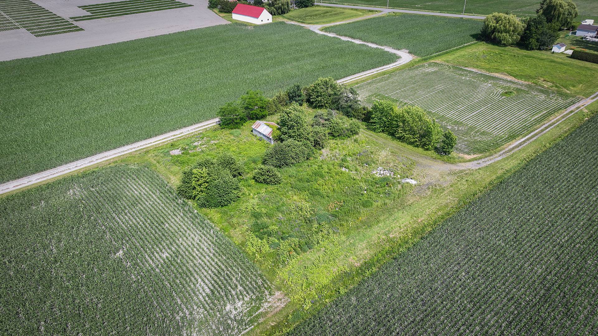 Terre/Terrain