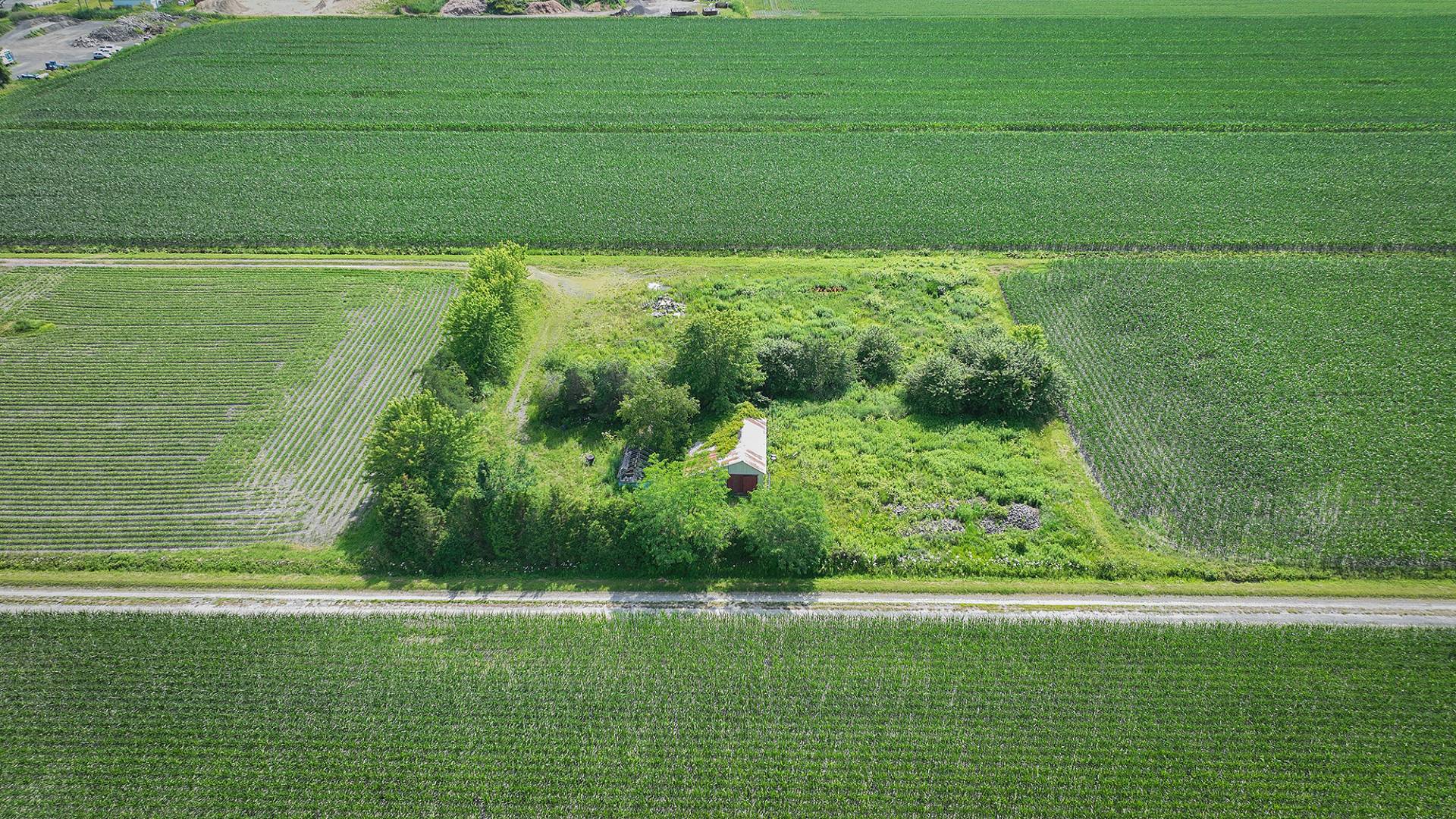 Terre/Terrain