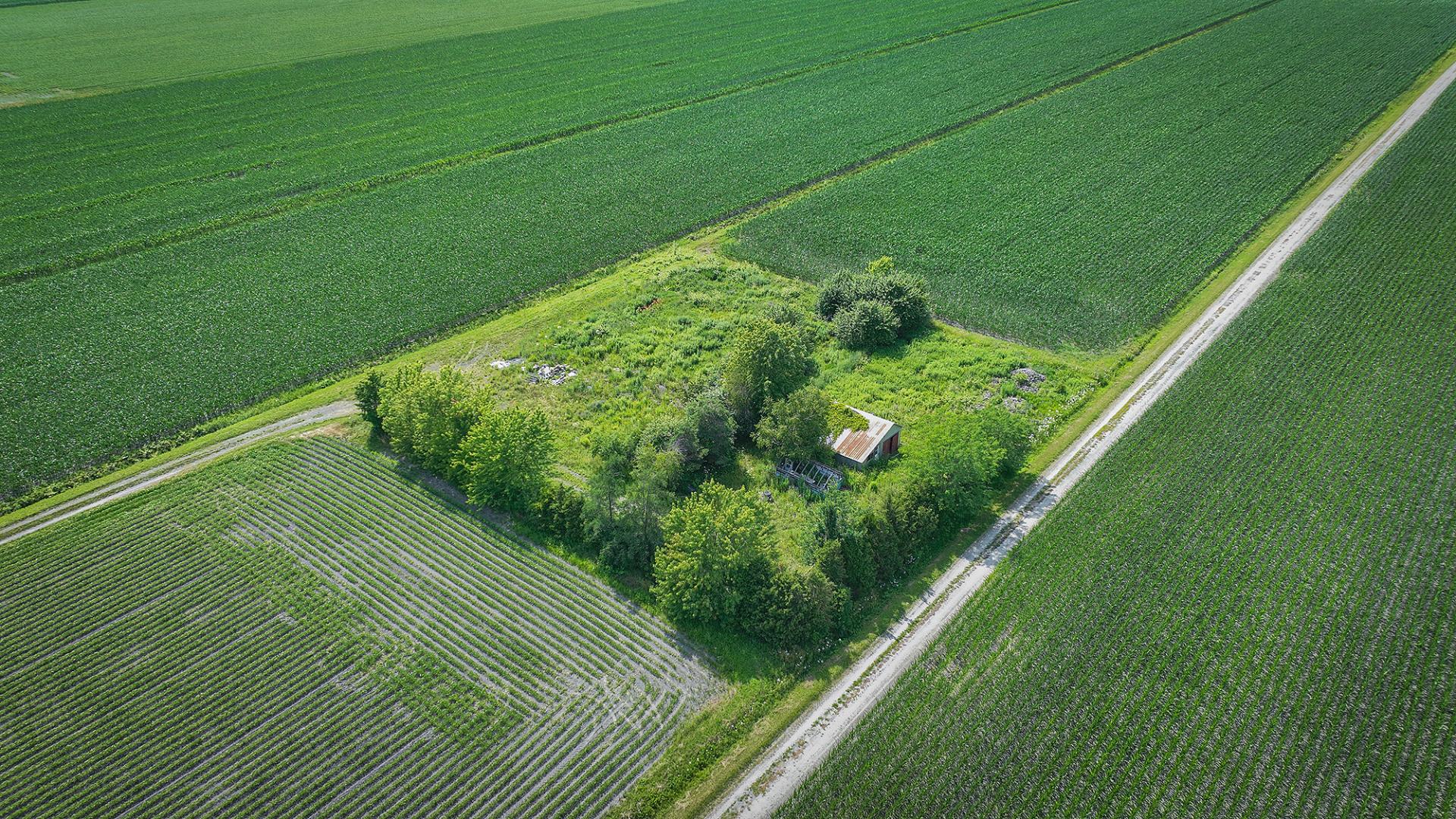 Terre/Terrain