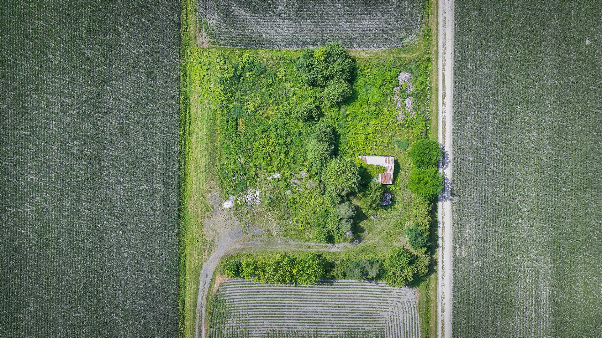 Terre/Terrain