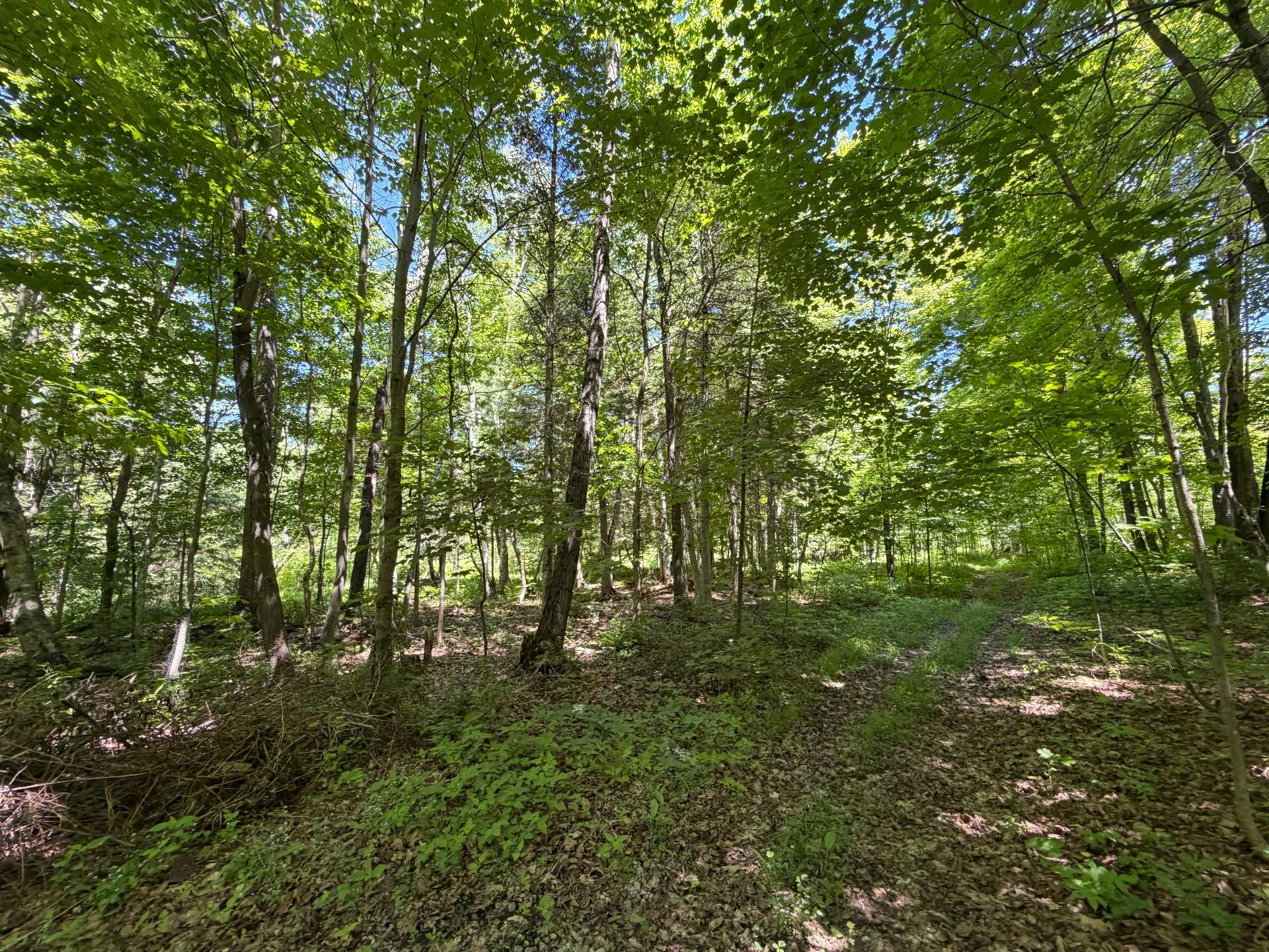 Land/Lot