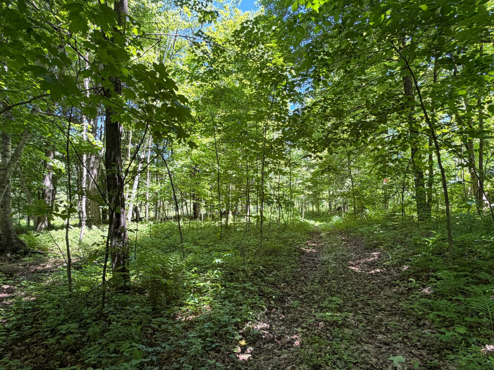 Land/Lot