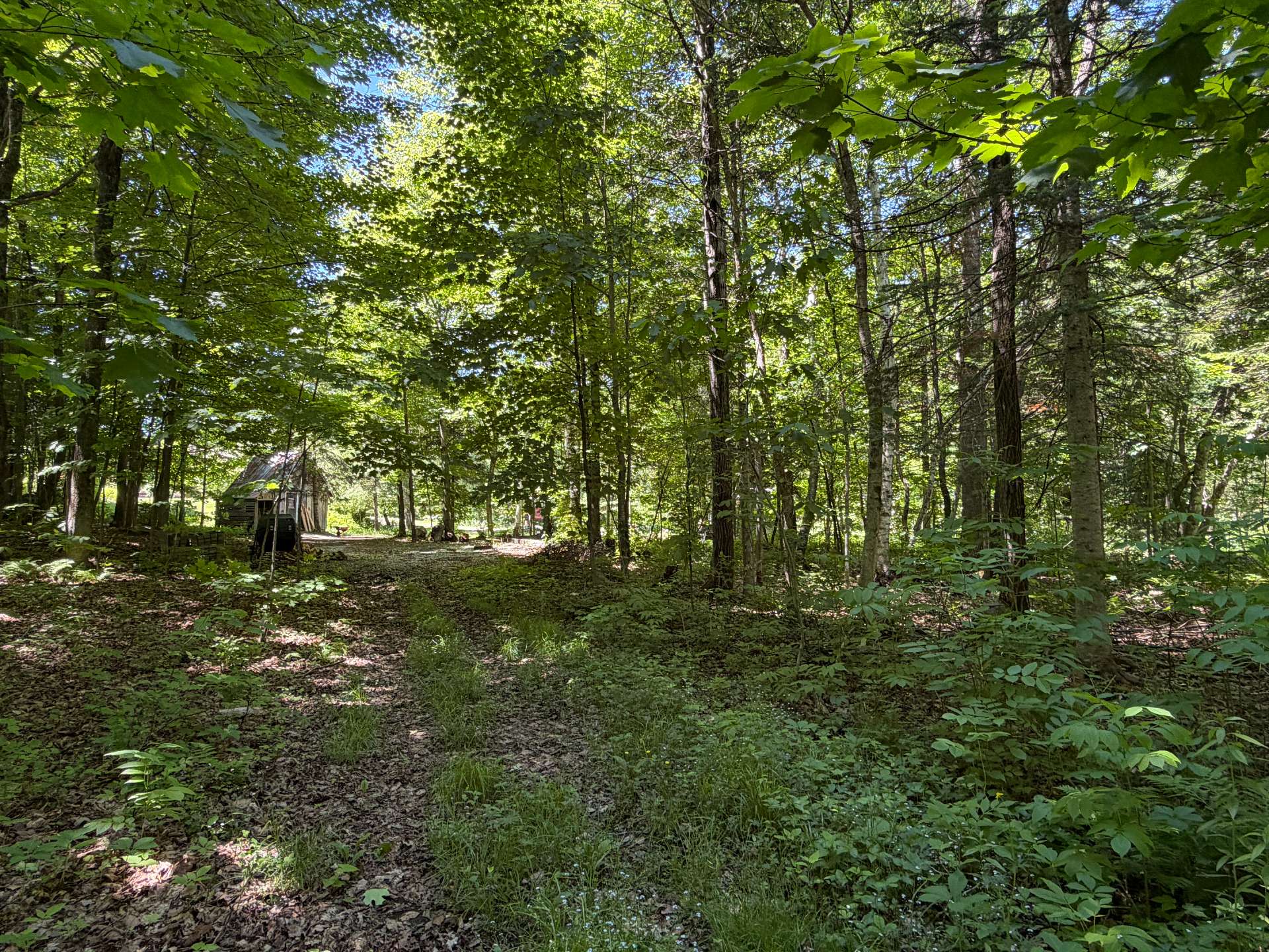 Land/Lot