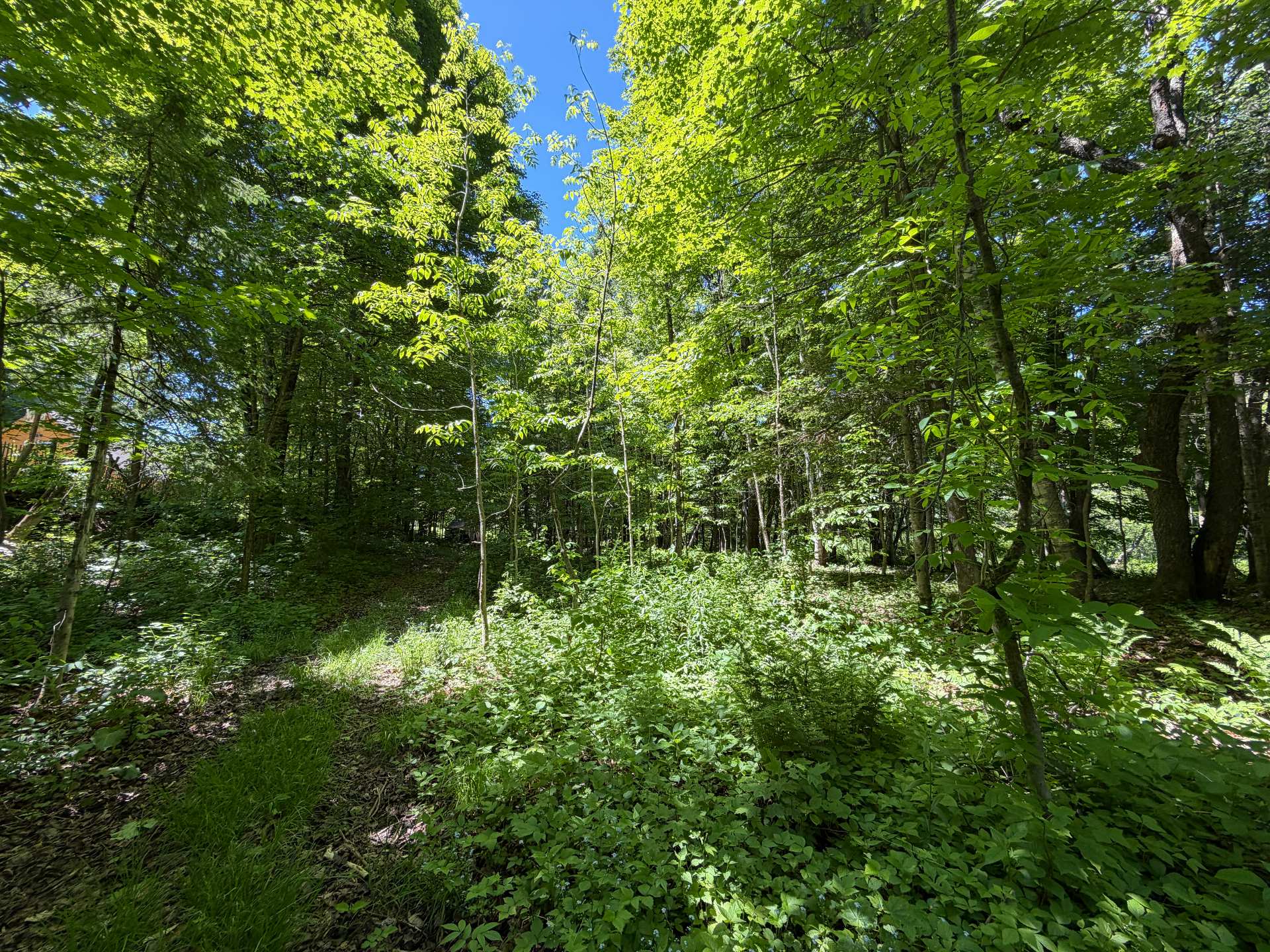 Land/Lot