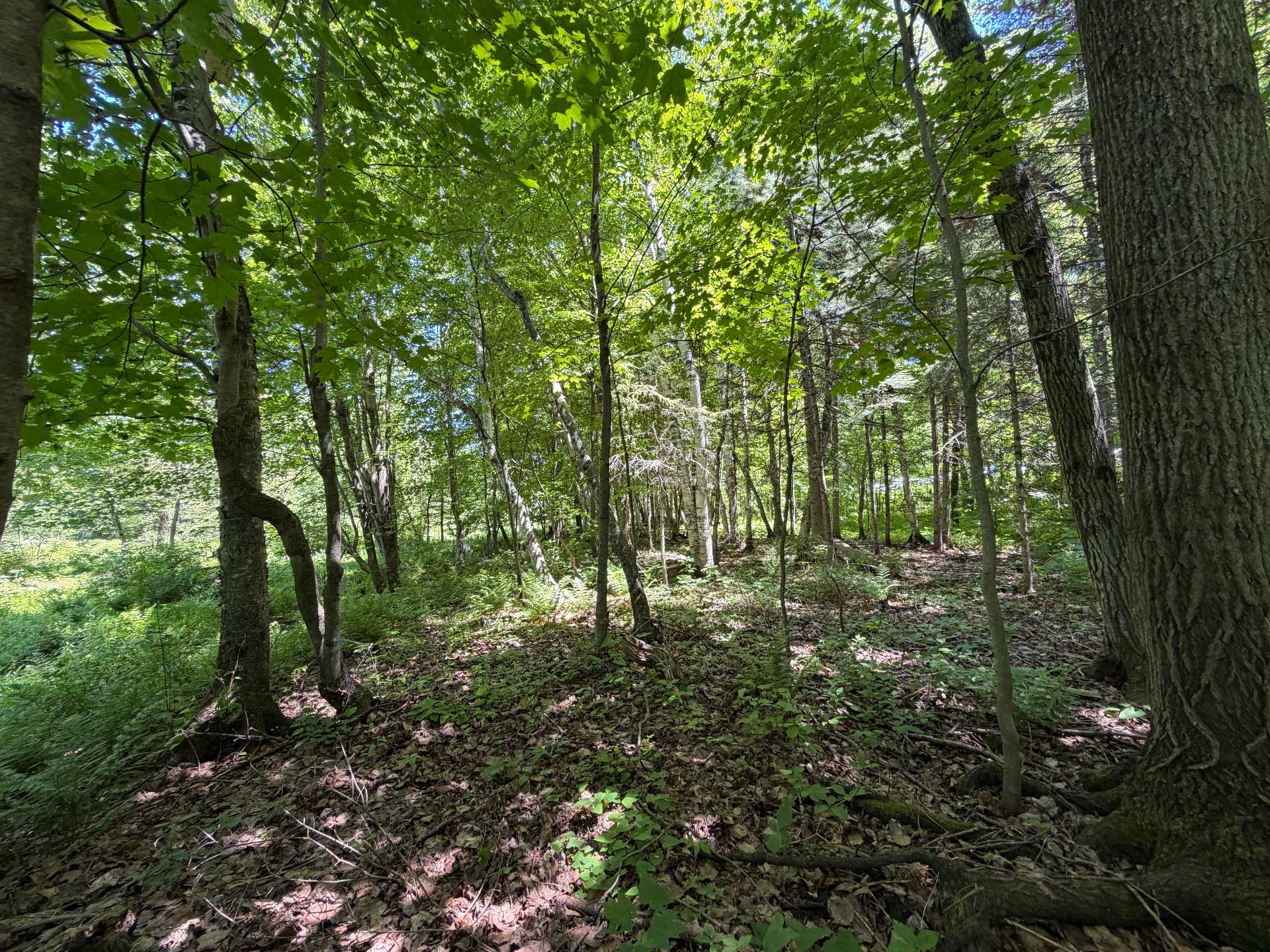 Land/Lot