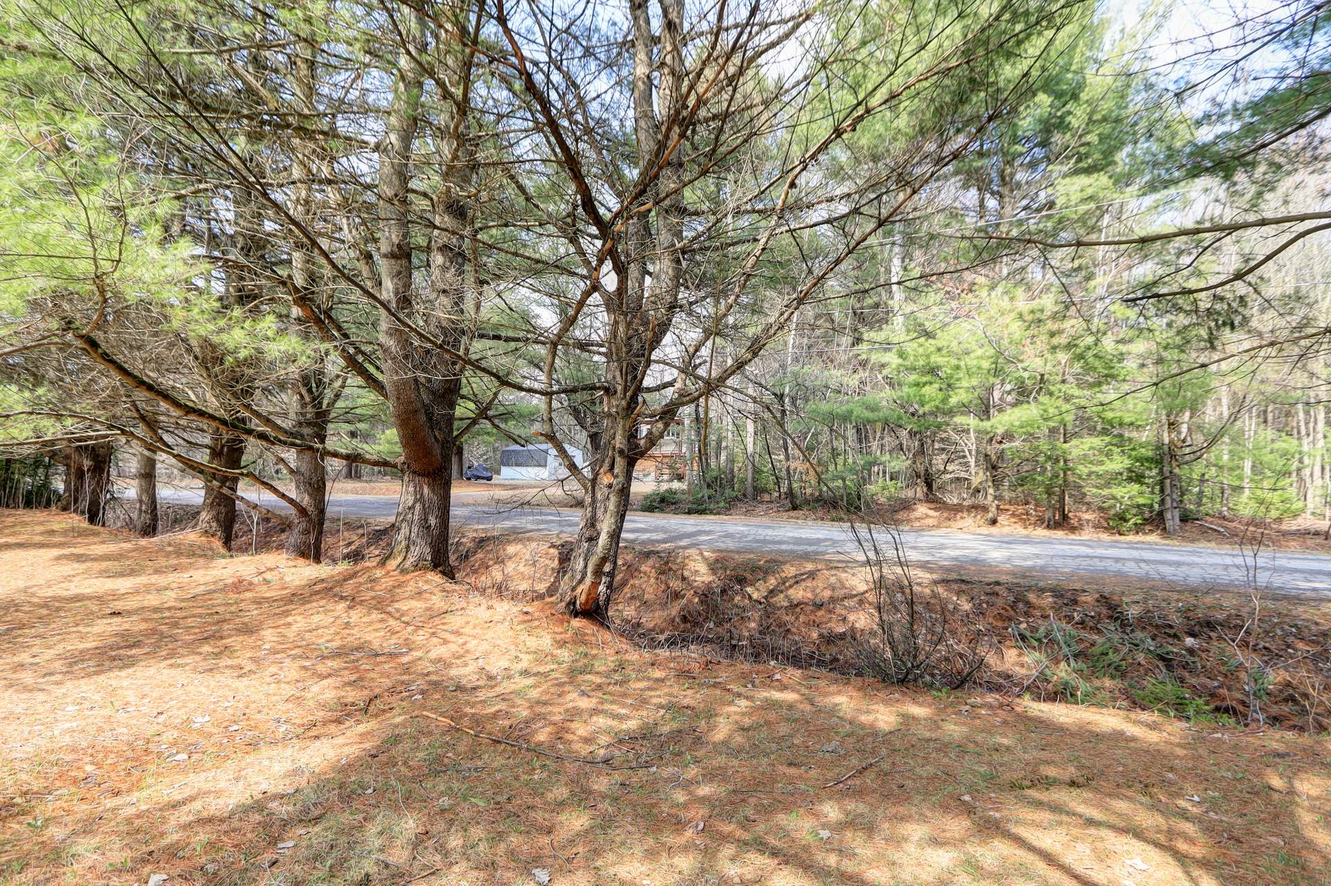 Land/Lot