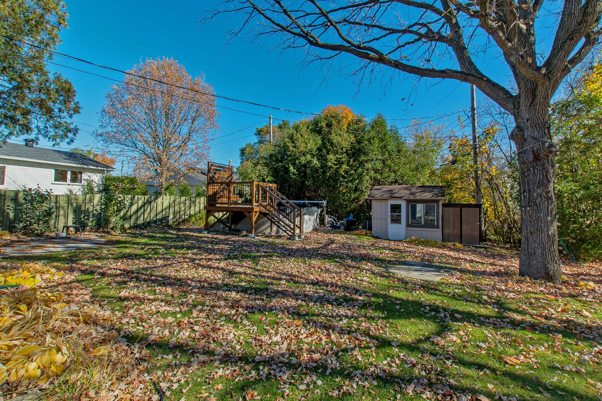 Backyard