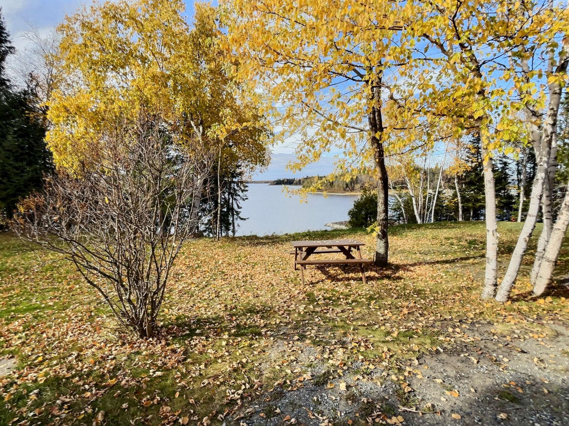 Water view