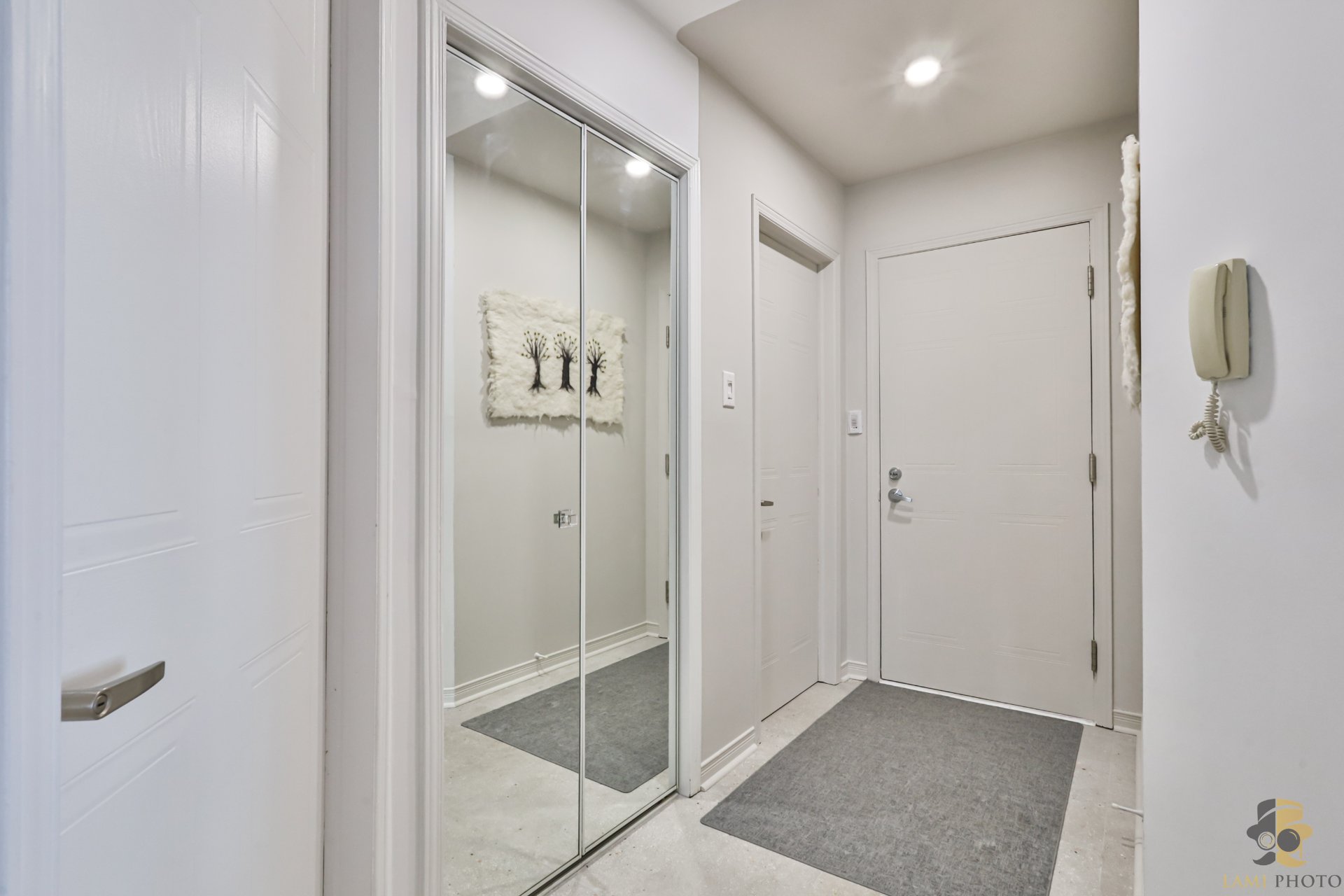 Hall d'entrée/Vestibule