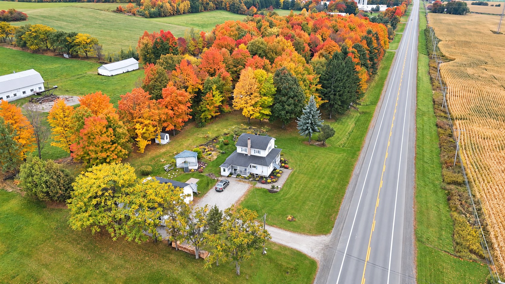 Aerial photo