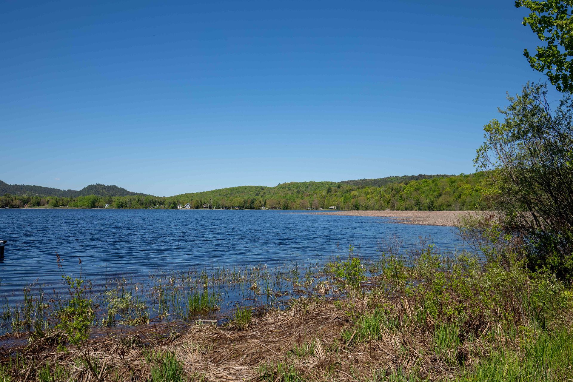photo prise à partir du voisin