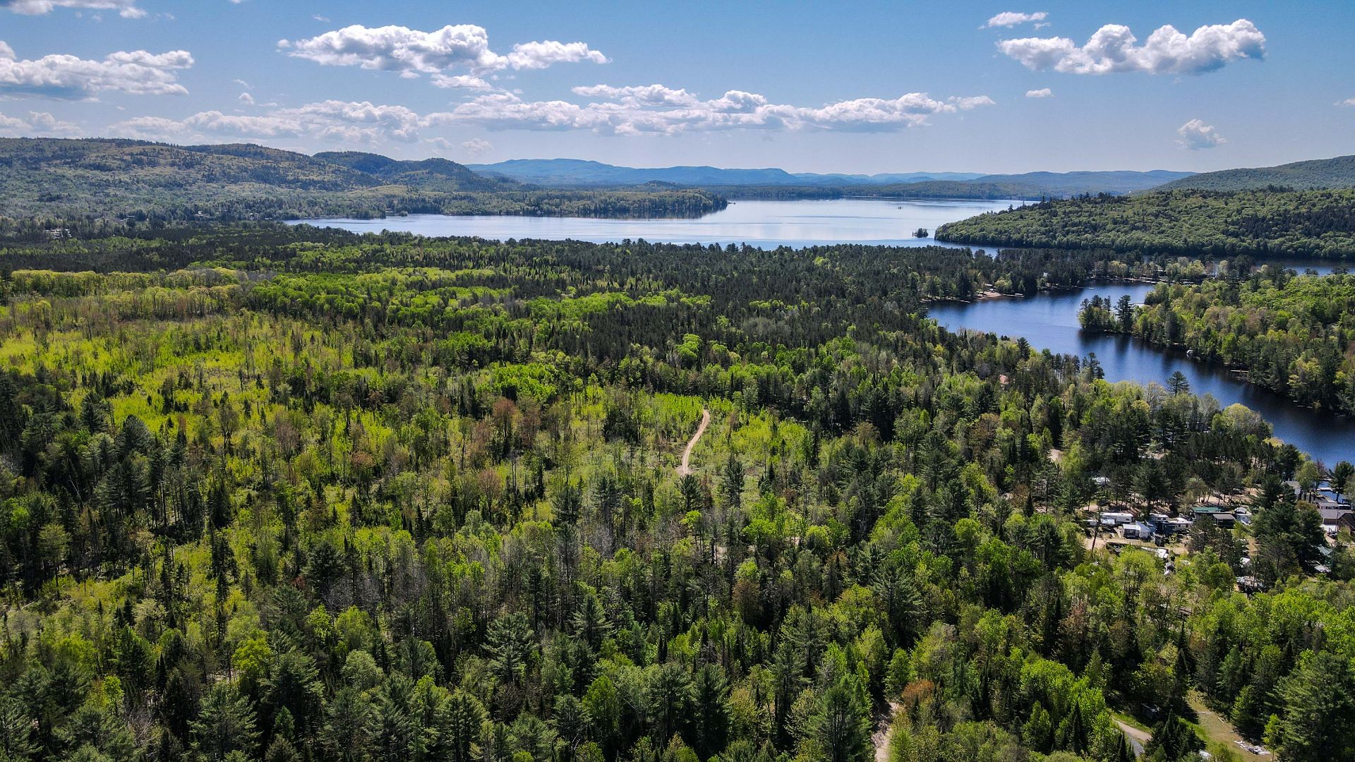 boisé et plan d'eau