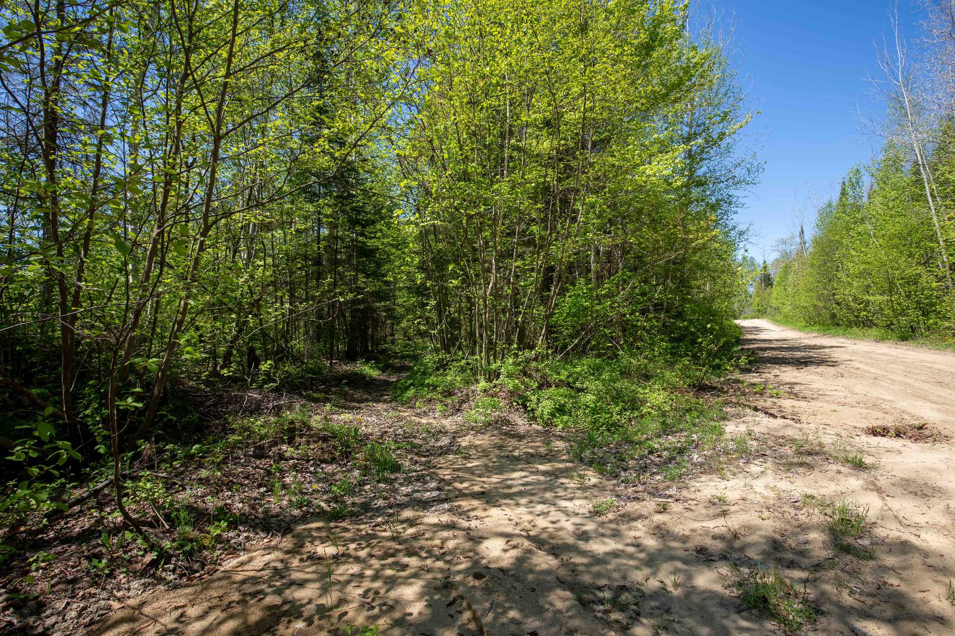 chemin Leduc une entrée dans le bois