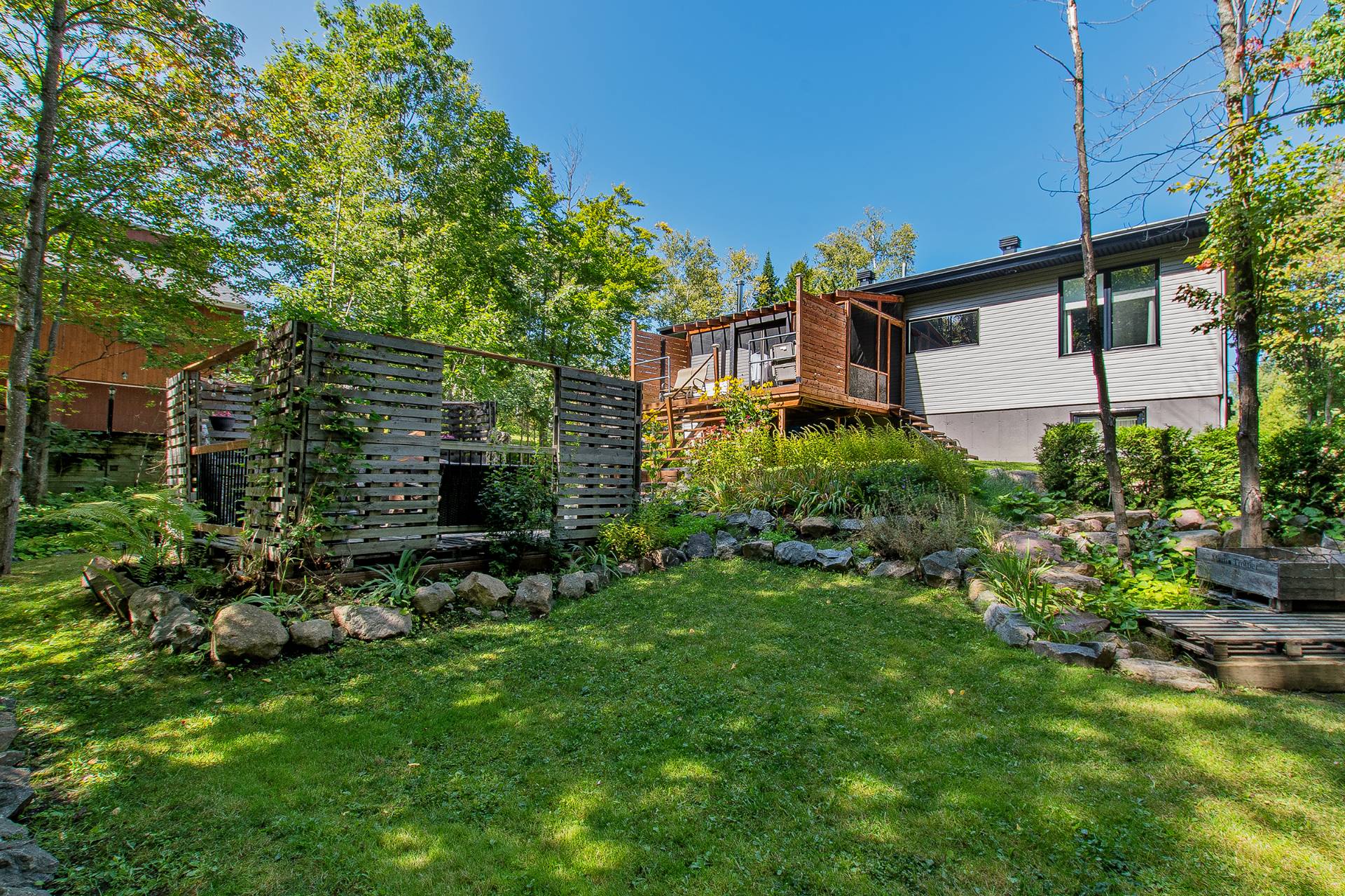 Backyard
