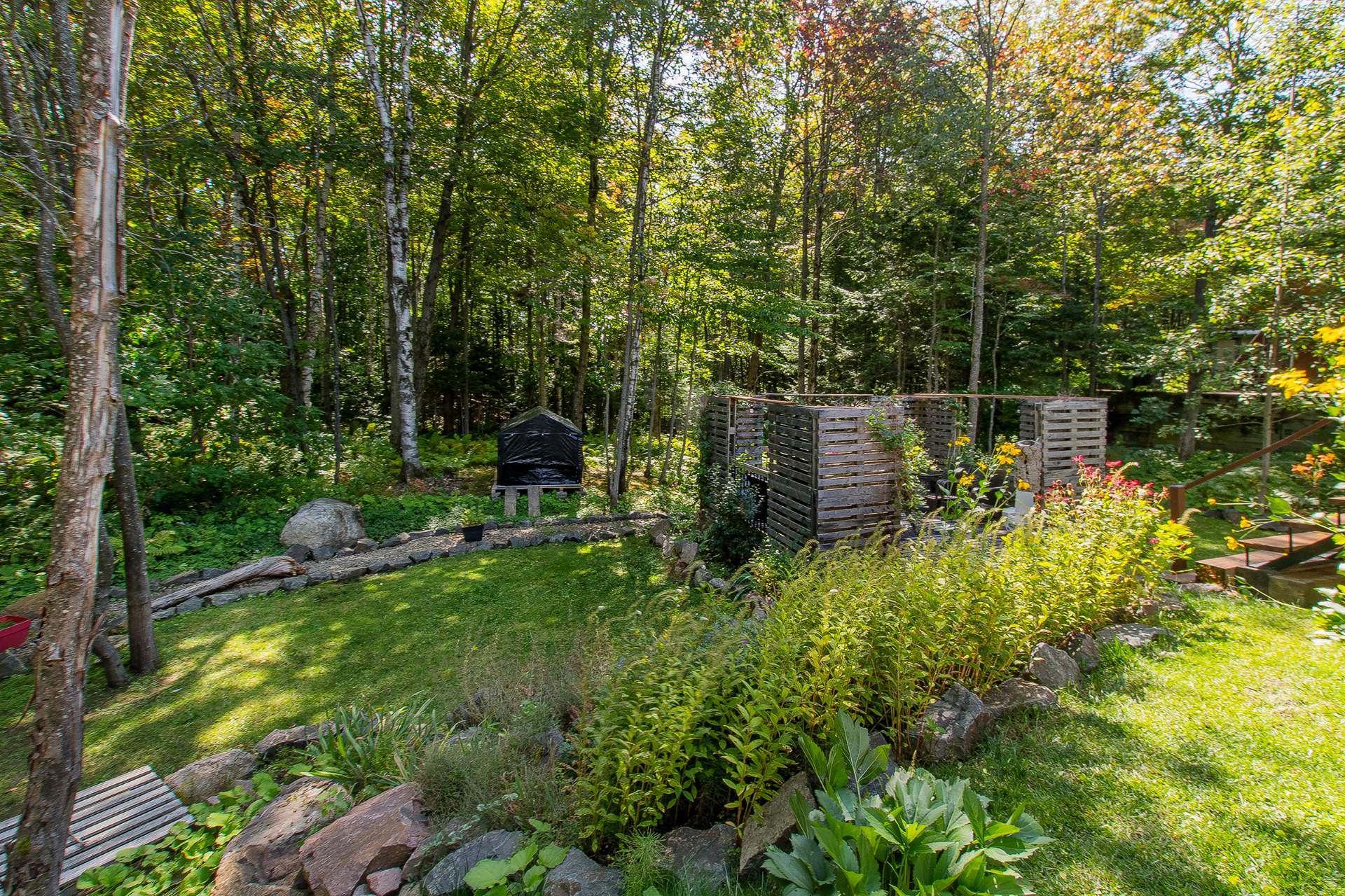 Backyard