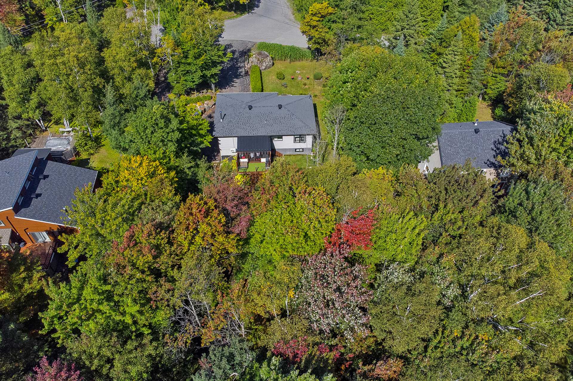 Aerial photo