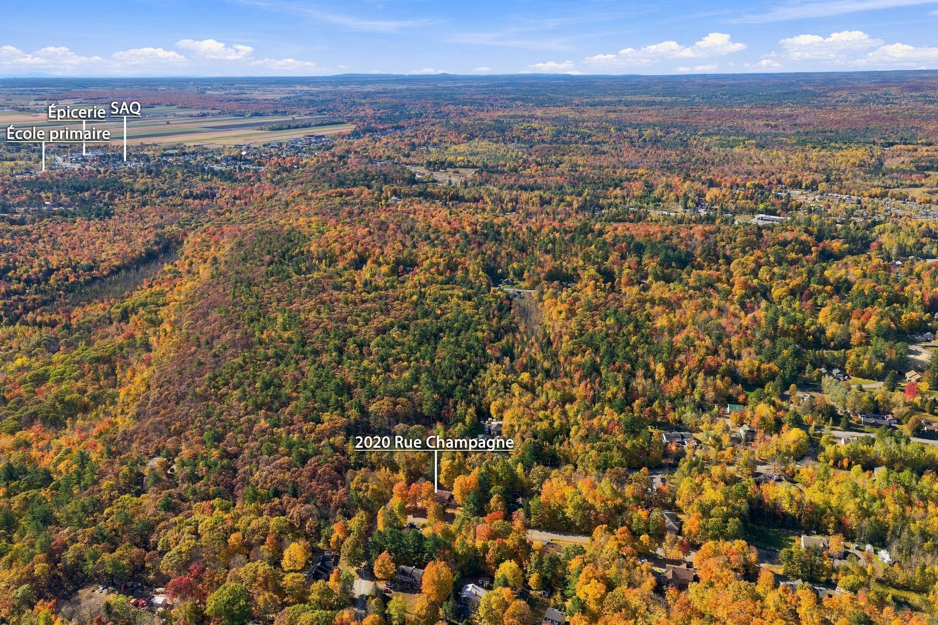 Aerial photo