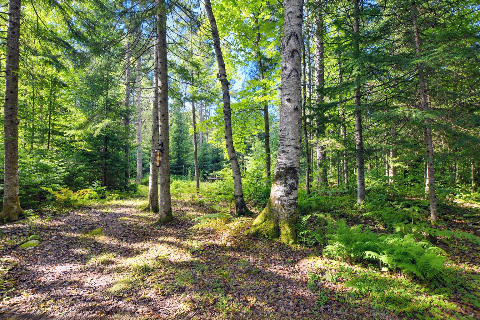 Land/Lot