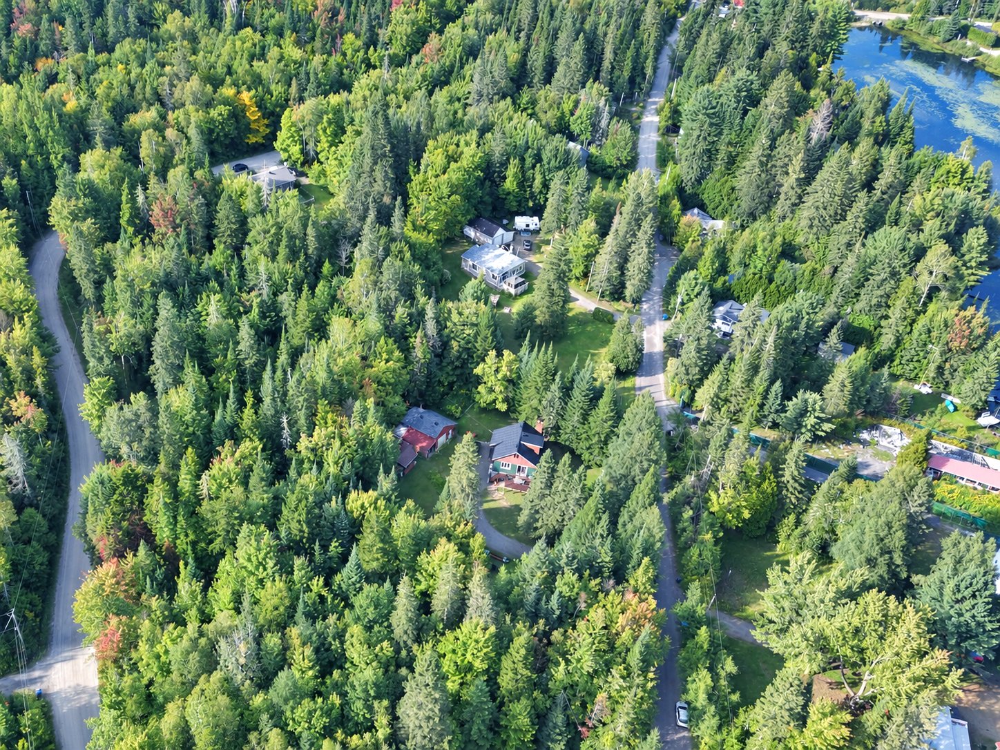 Overall View
