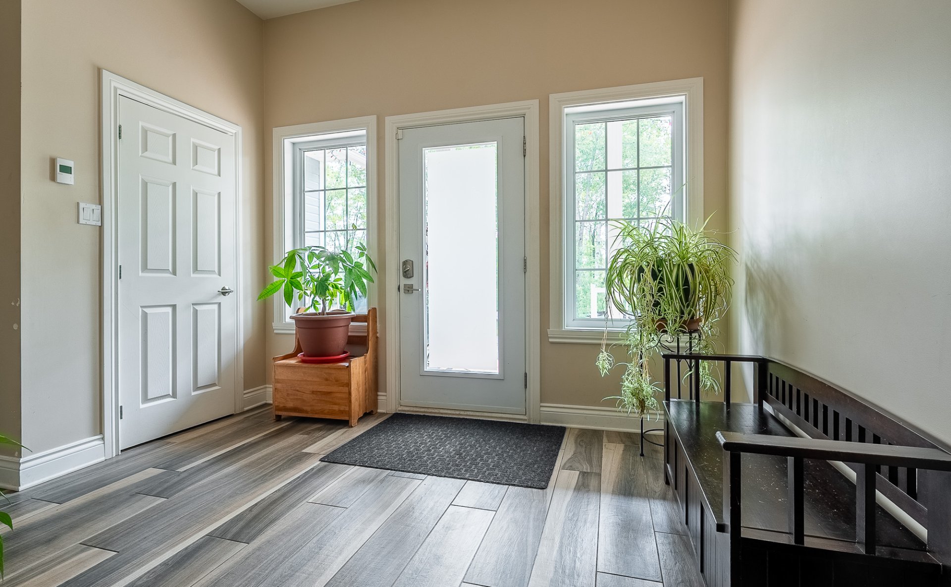 Hall d'entrée/Vestibule