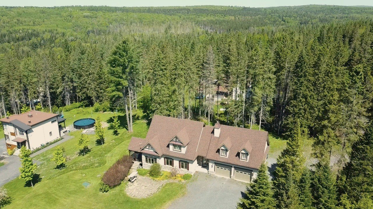 Overall View
