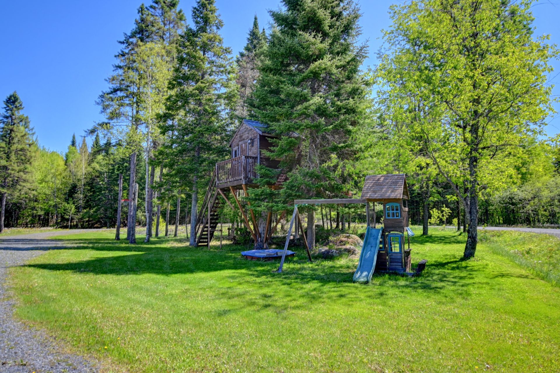 Backyard