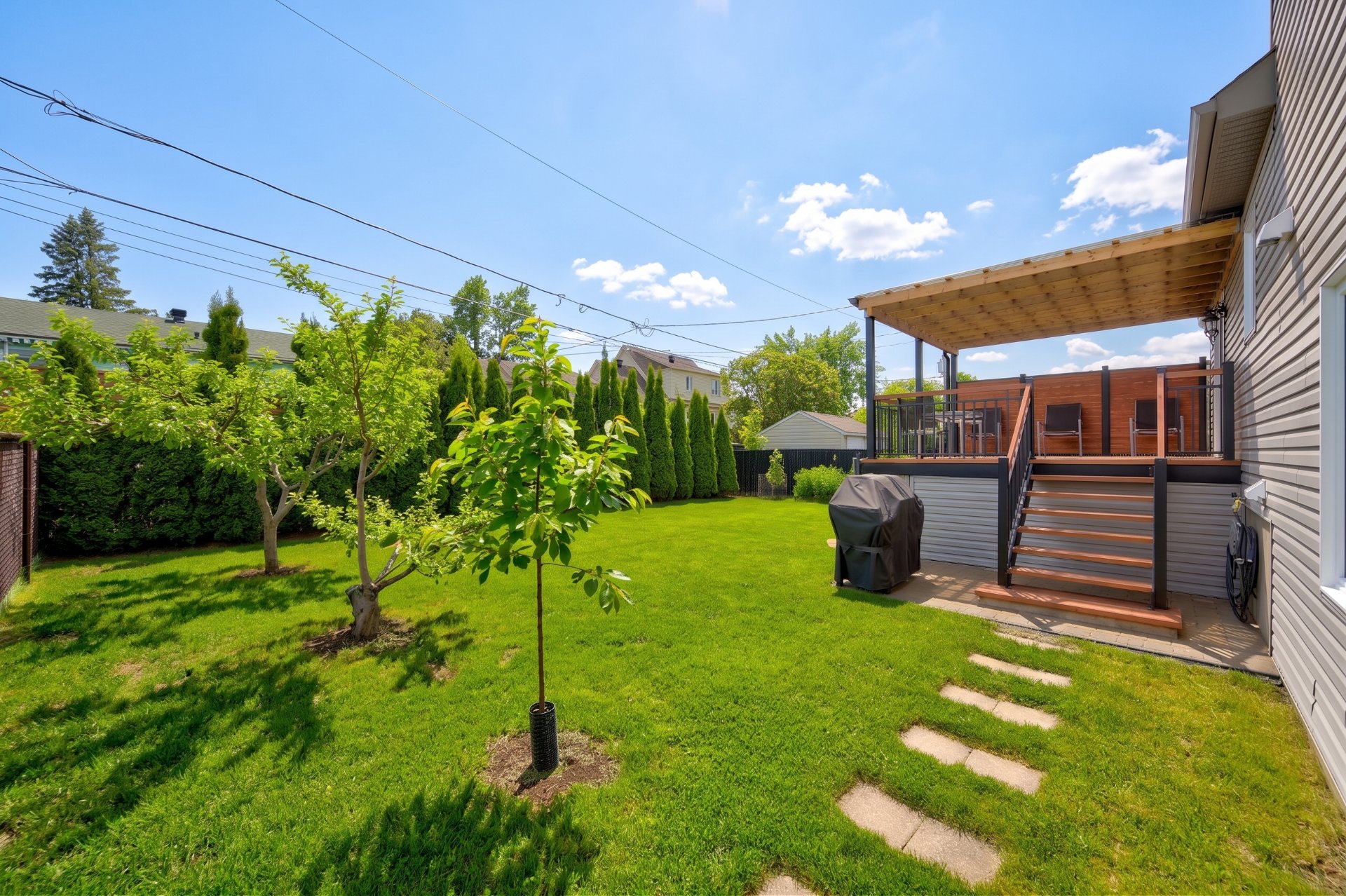 Backyard