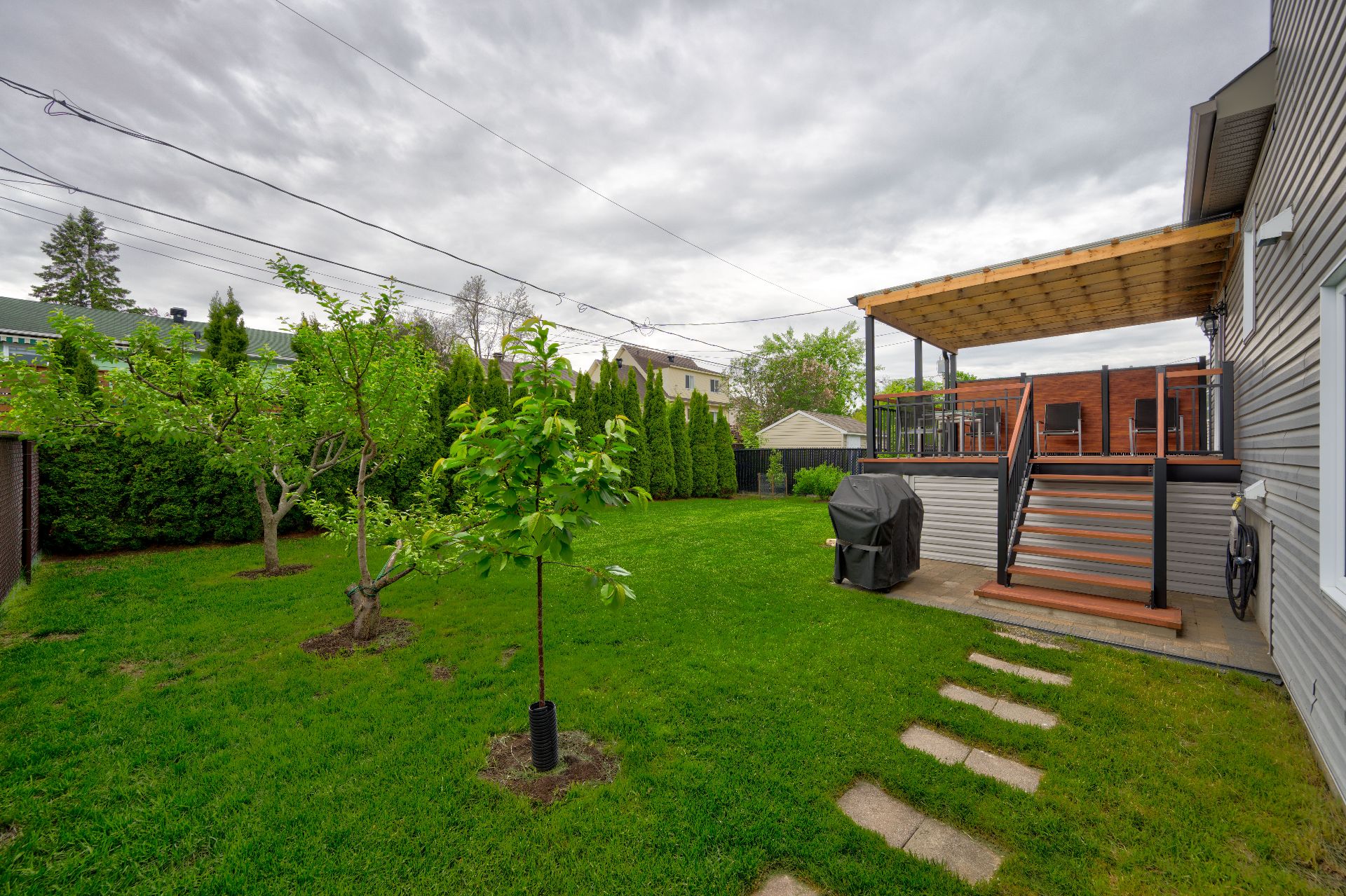 Backyard