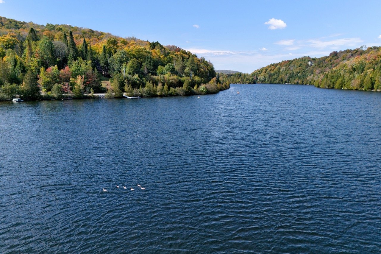 Water view