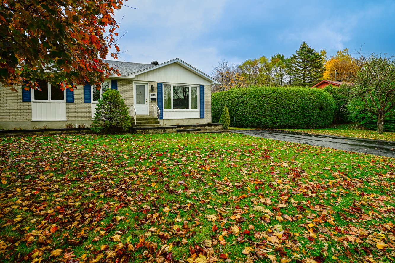 Secteur avec des arbres matures