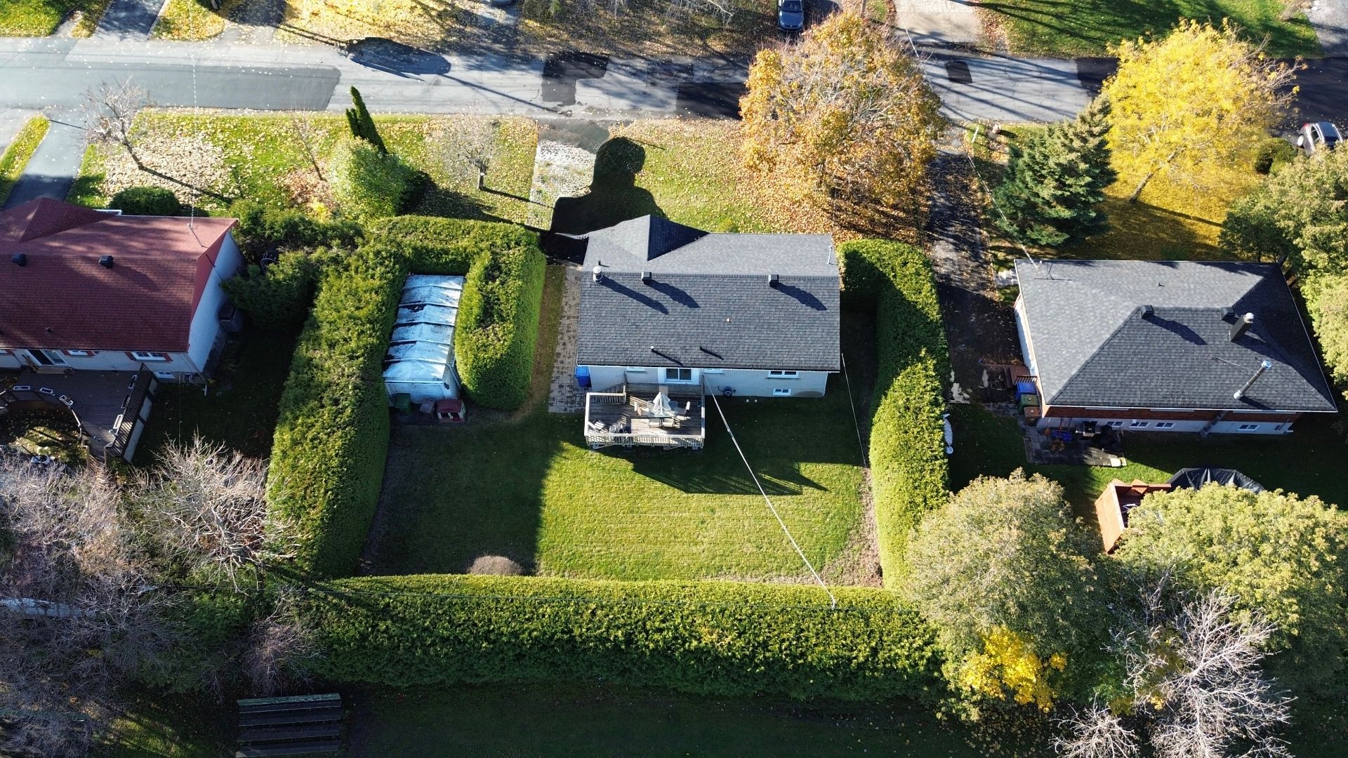 Belles haies de cèdres matures tout autour