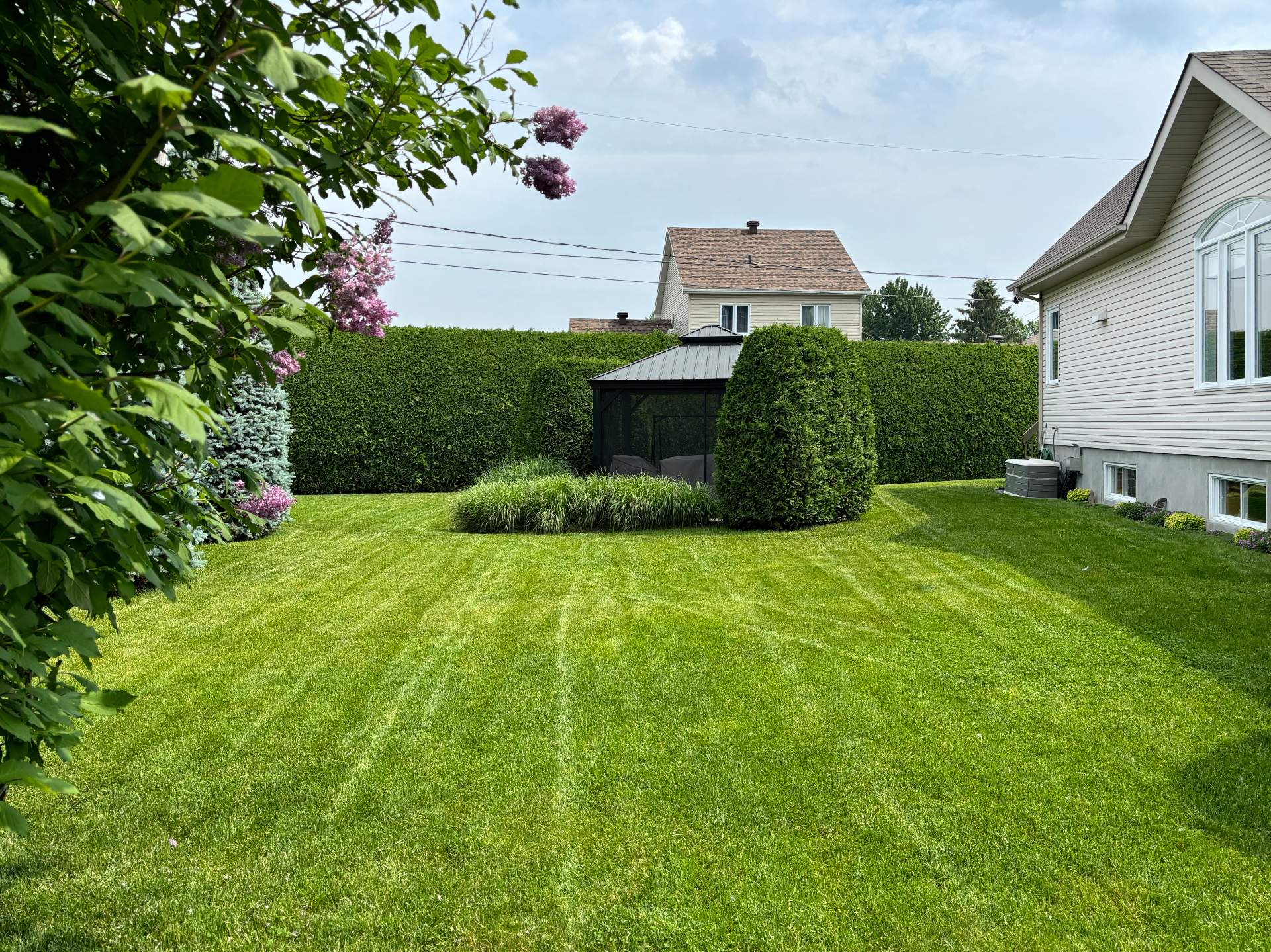 Photo fournie par le vendeur