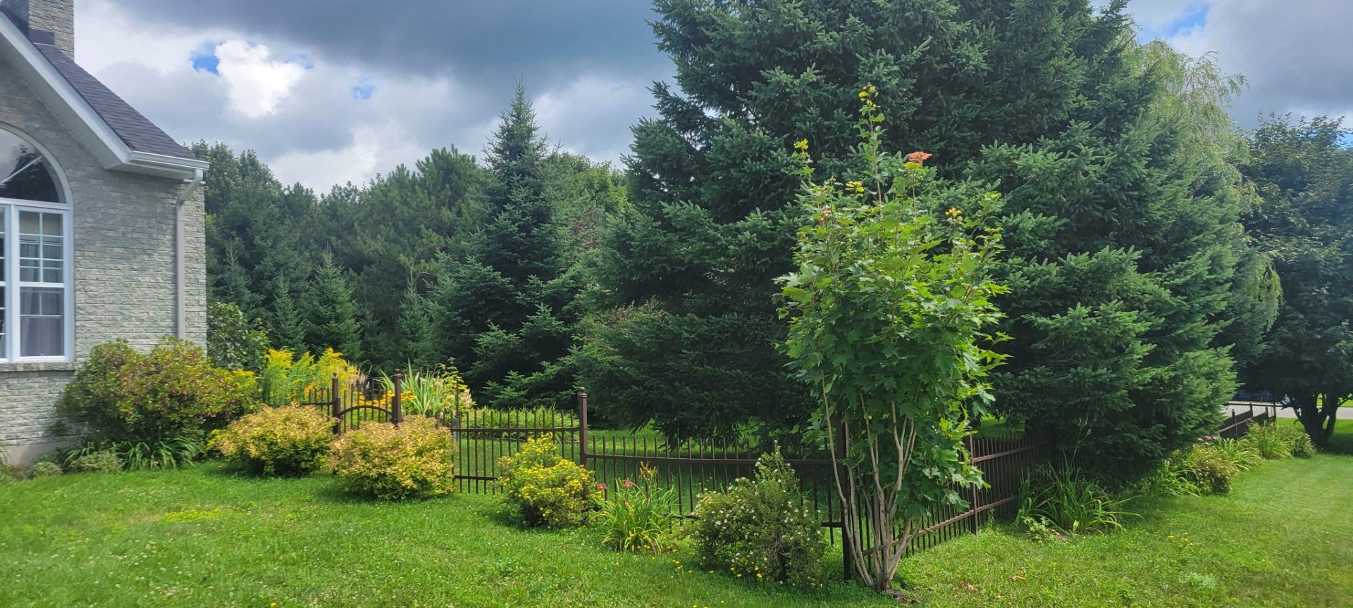 Land/Lot