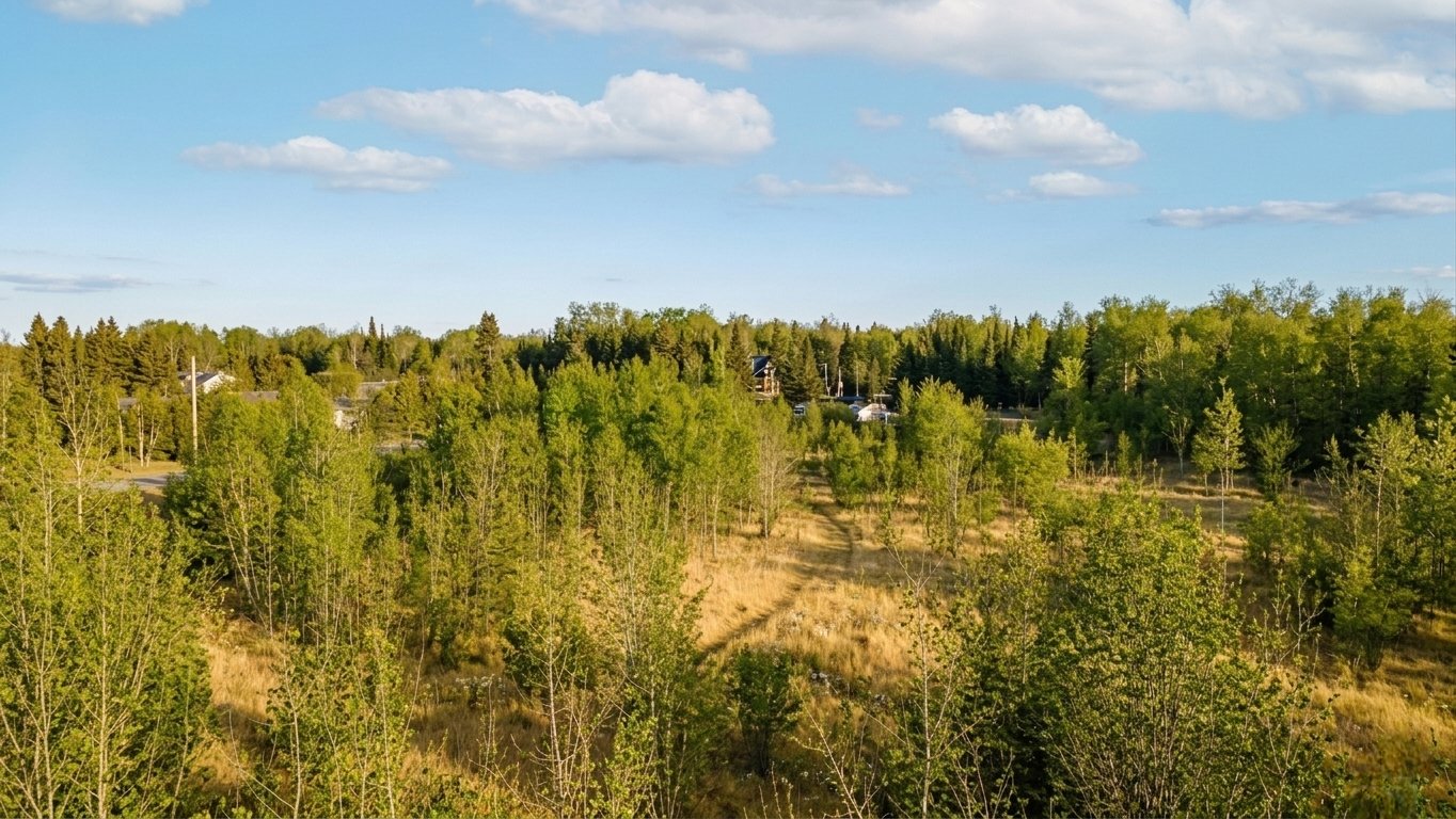 Land/Lot