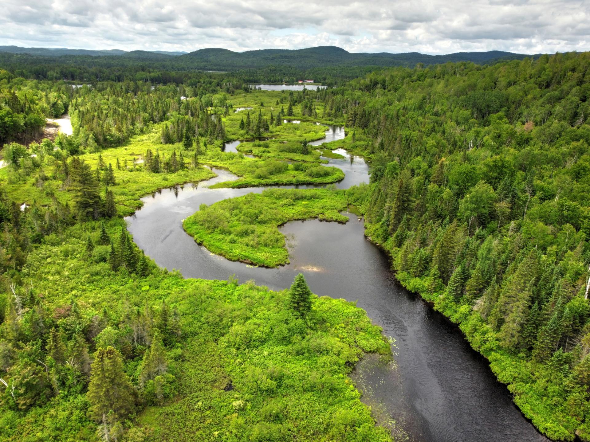 Accès riviere DONCASTER