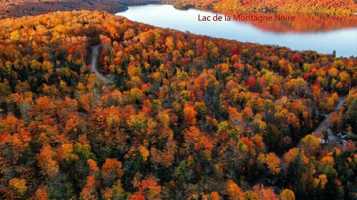 Overall View