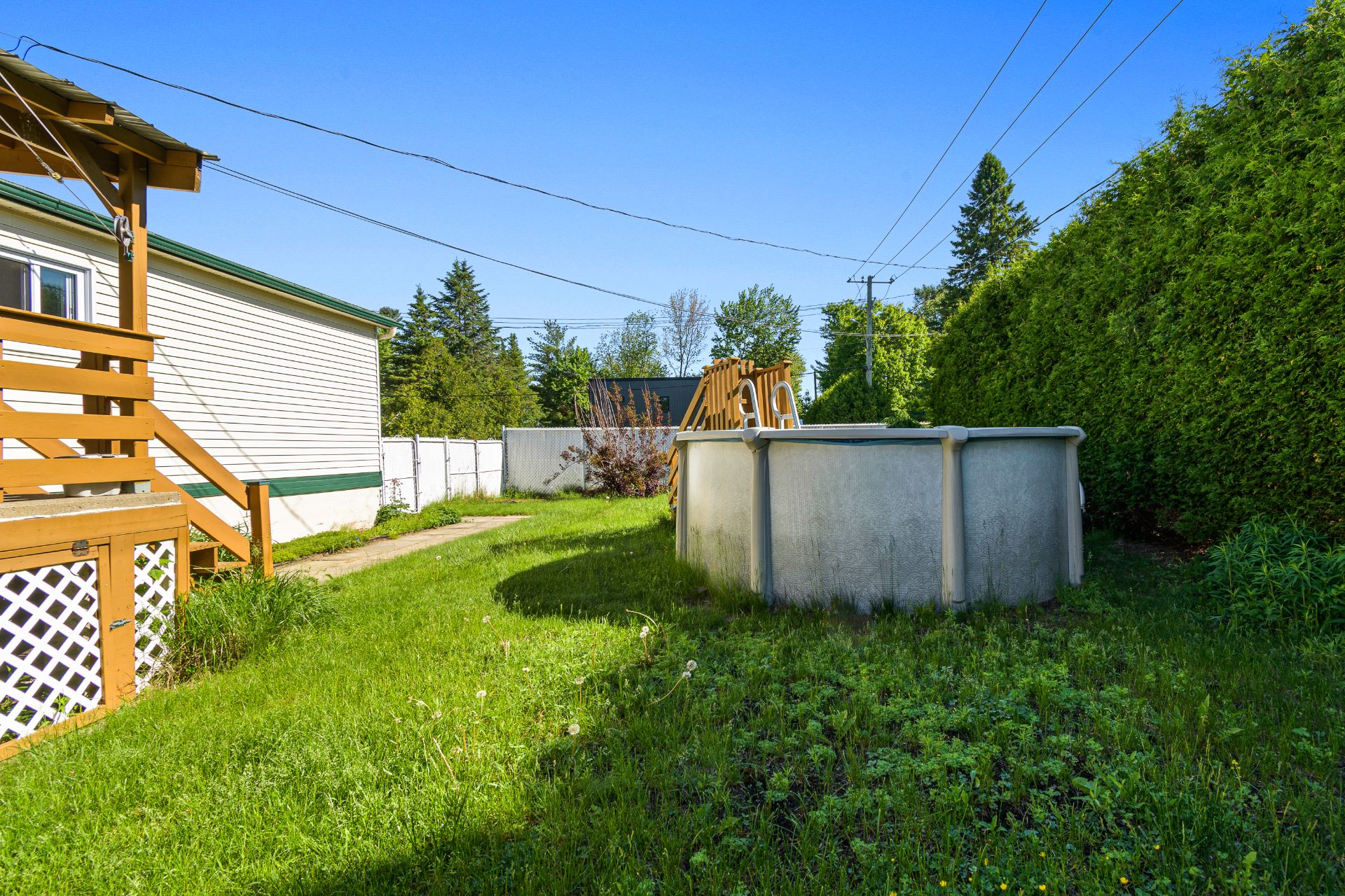 Backyard