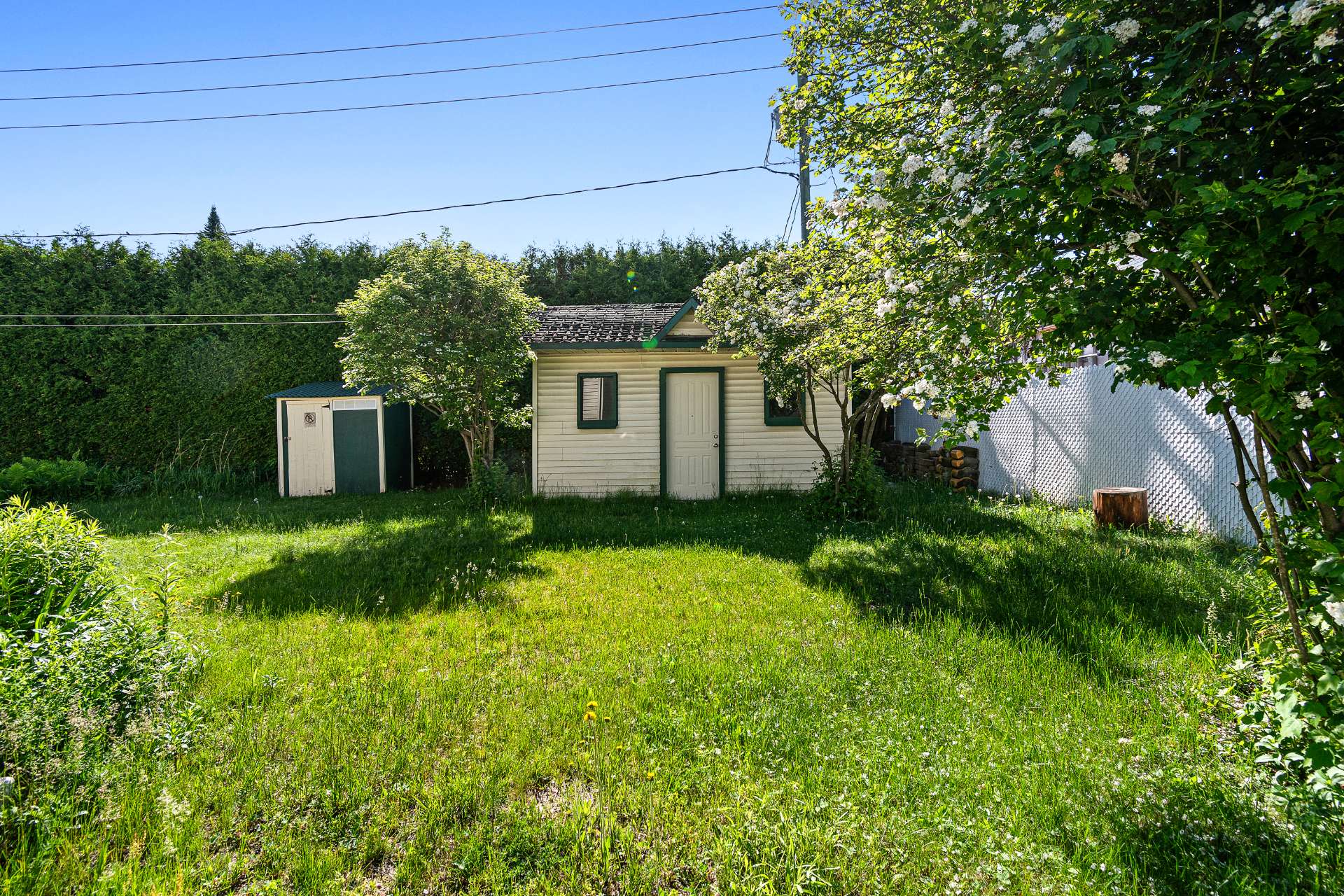 Backyard