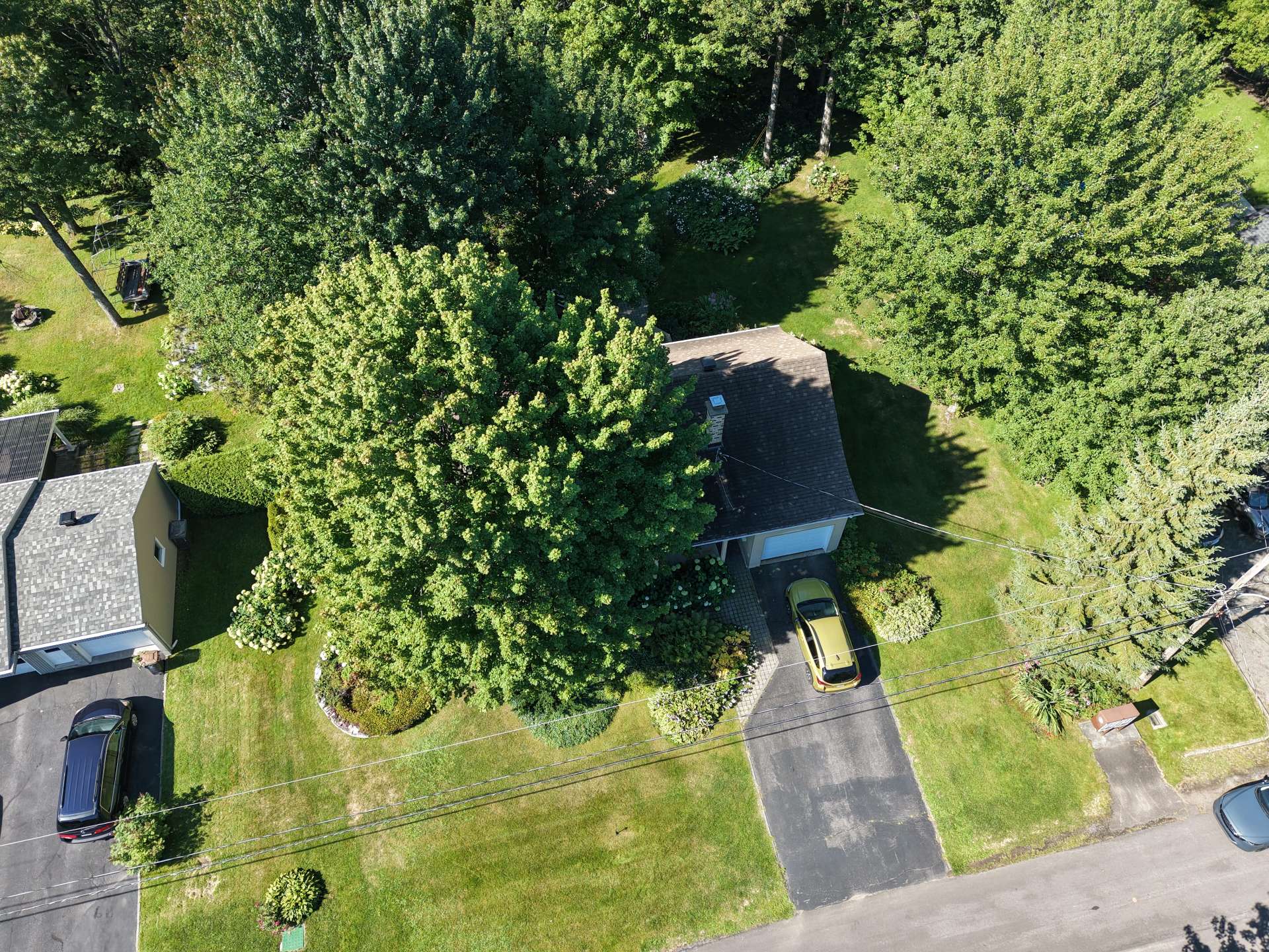 Aerial photo