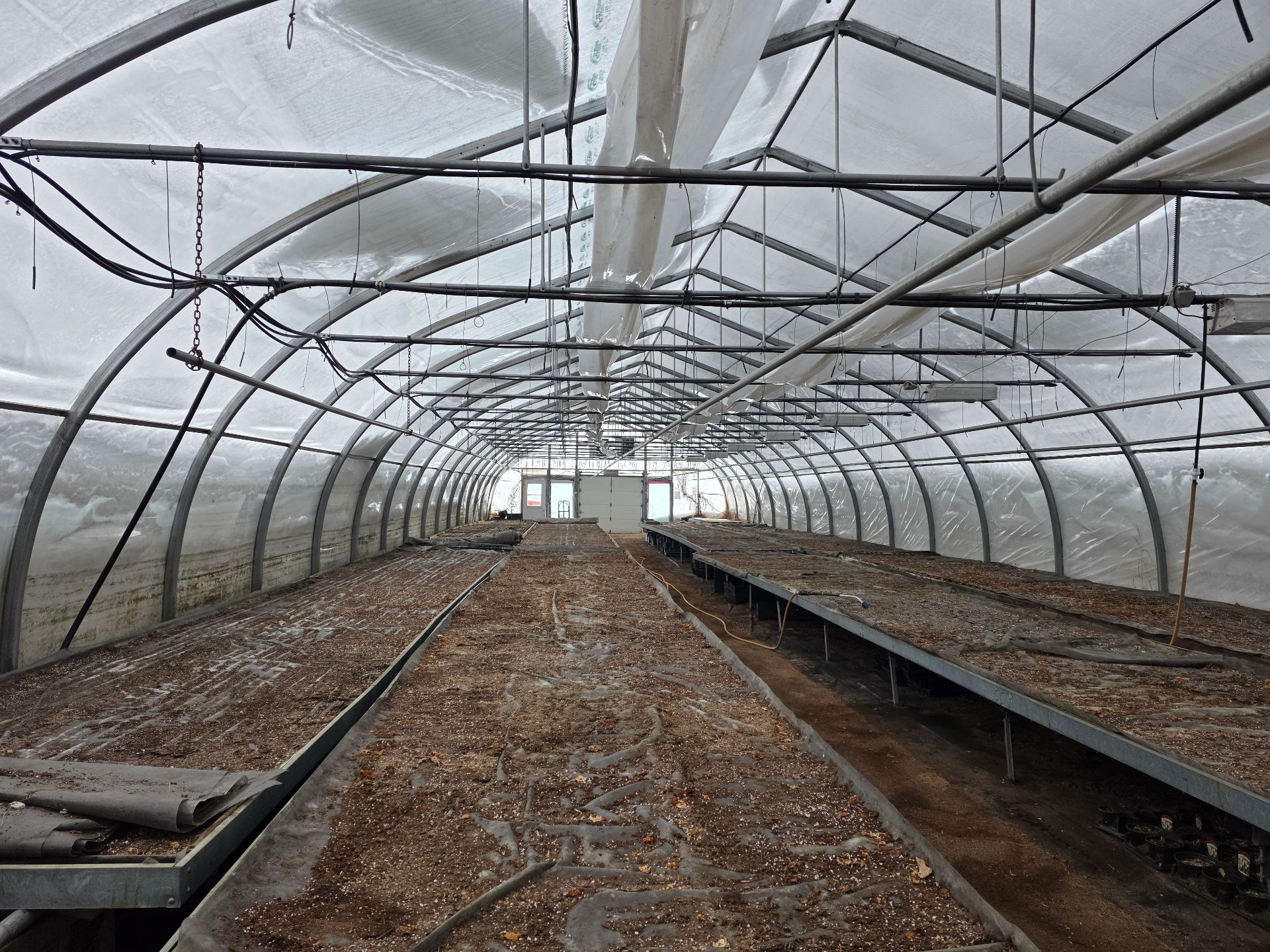 Greenhouse