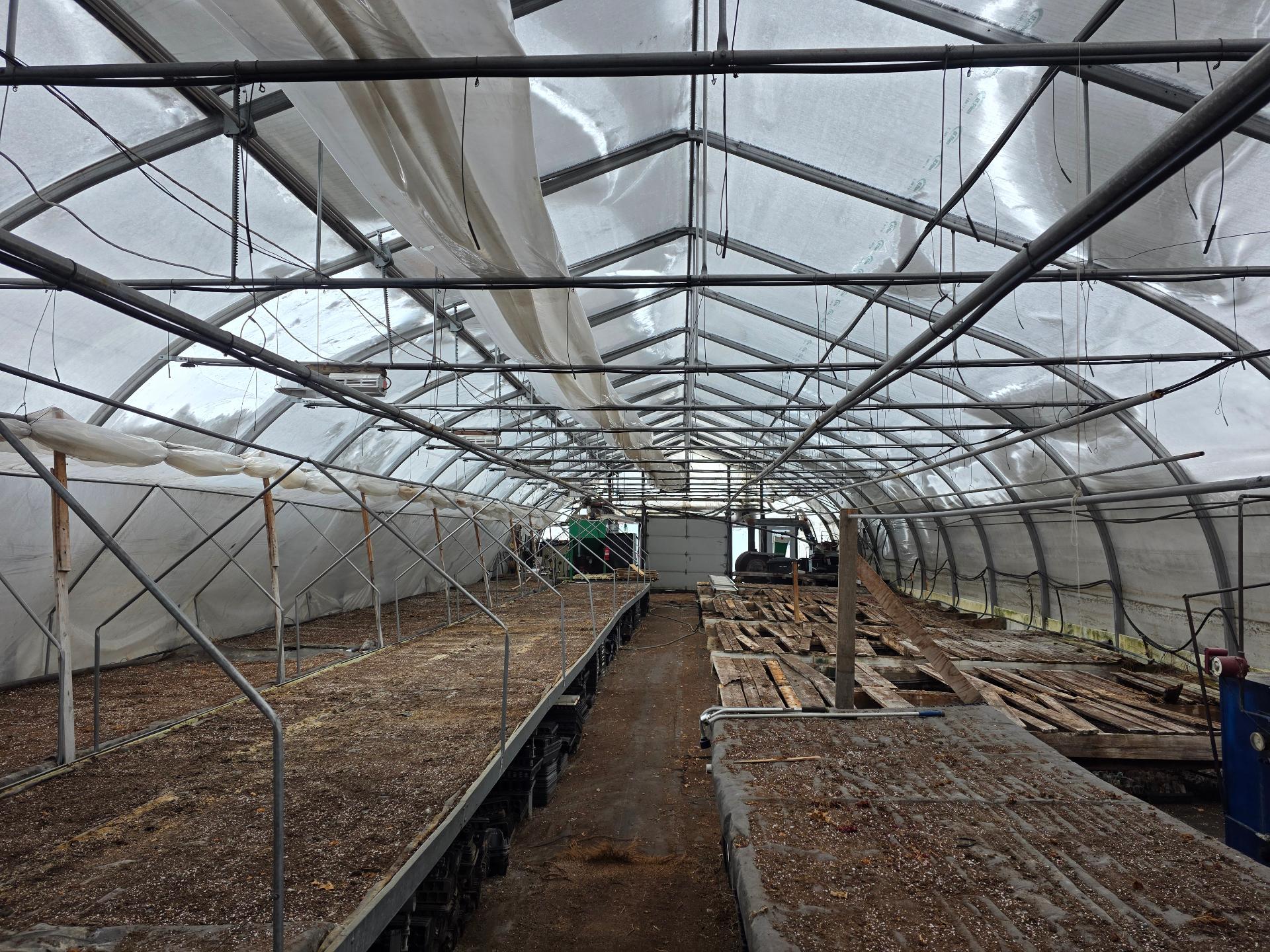 Greenhouse