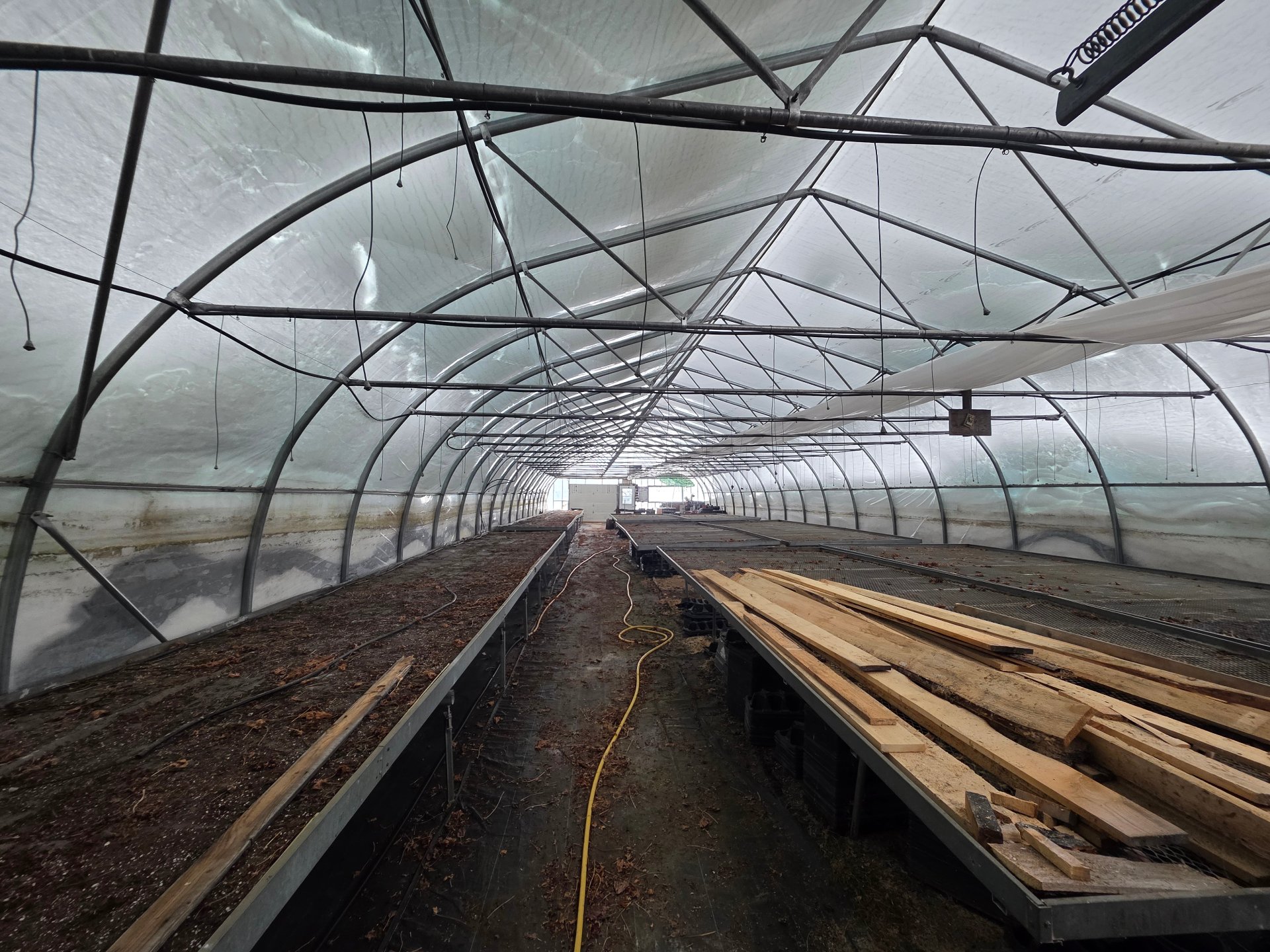 Greenhouse