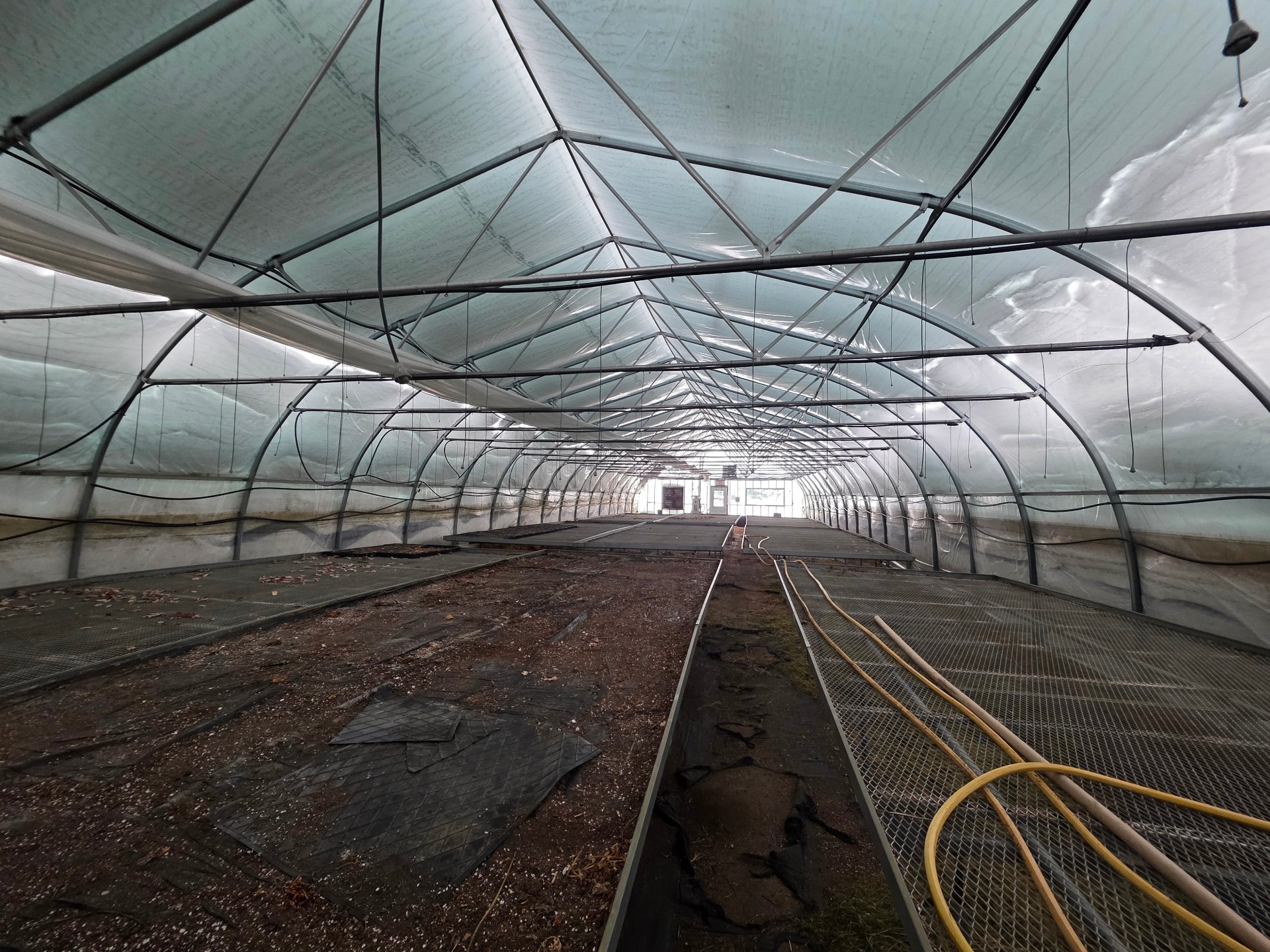 Greenhouse