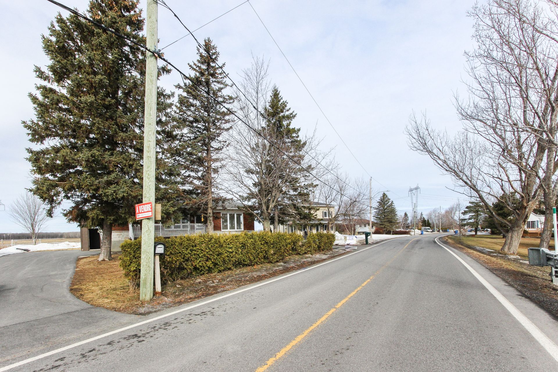 Street