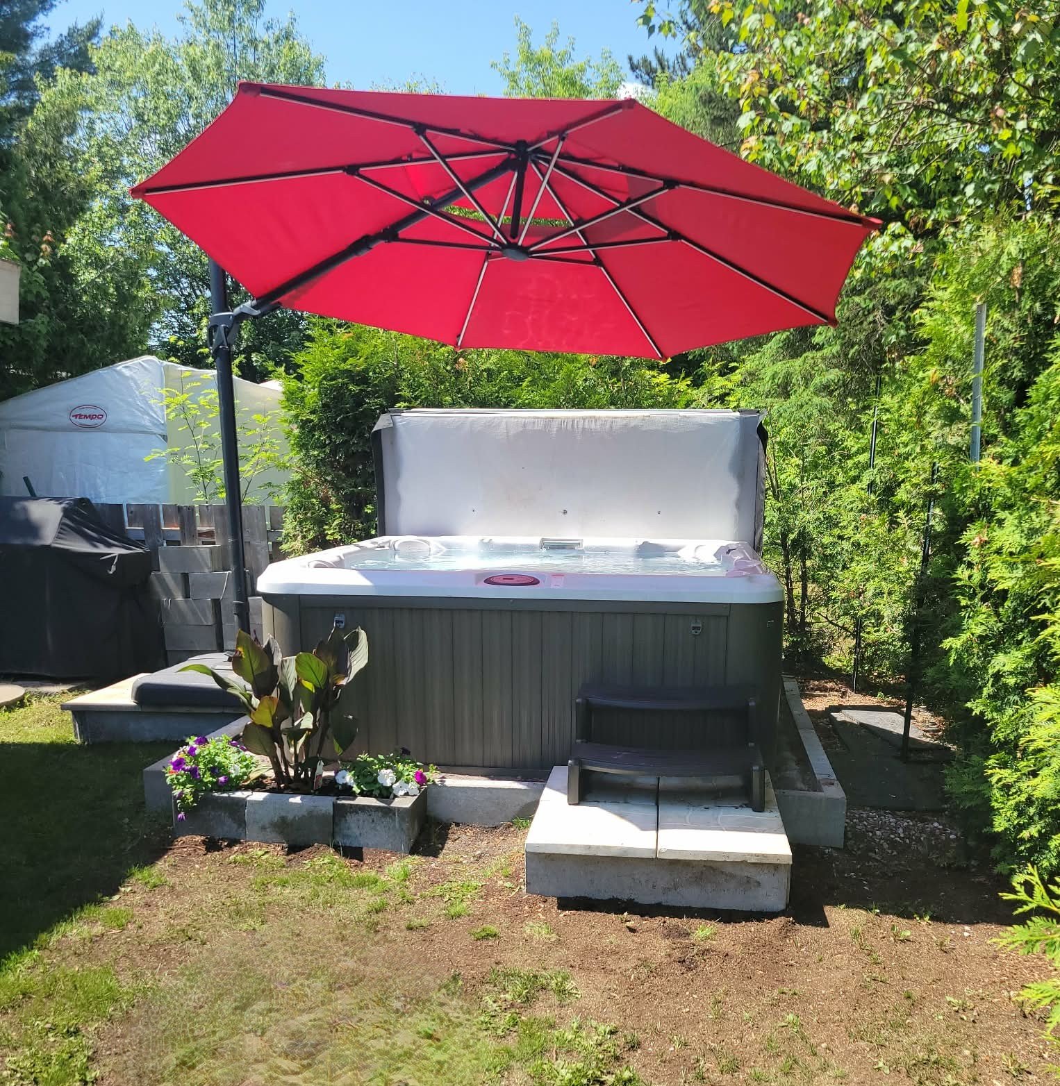 Photo d'été du vendeur