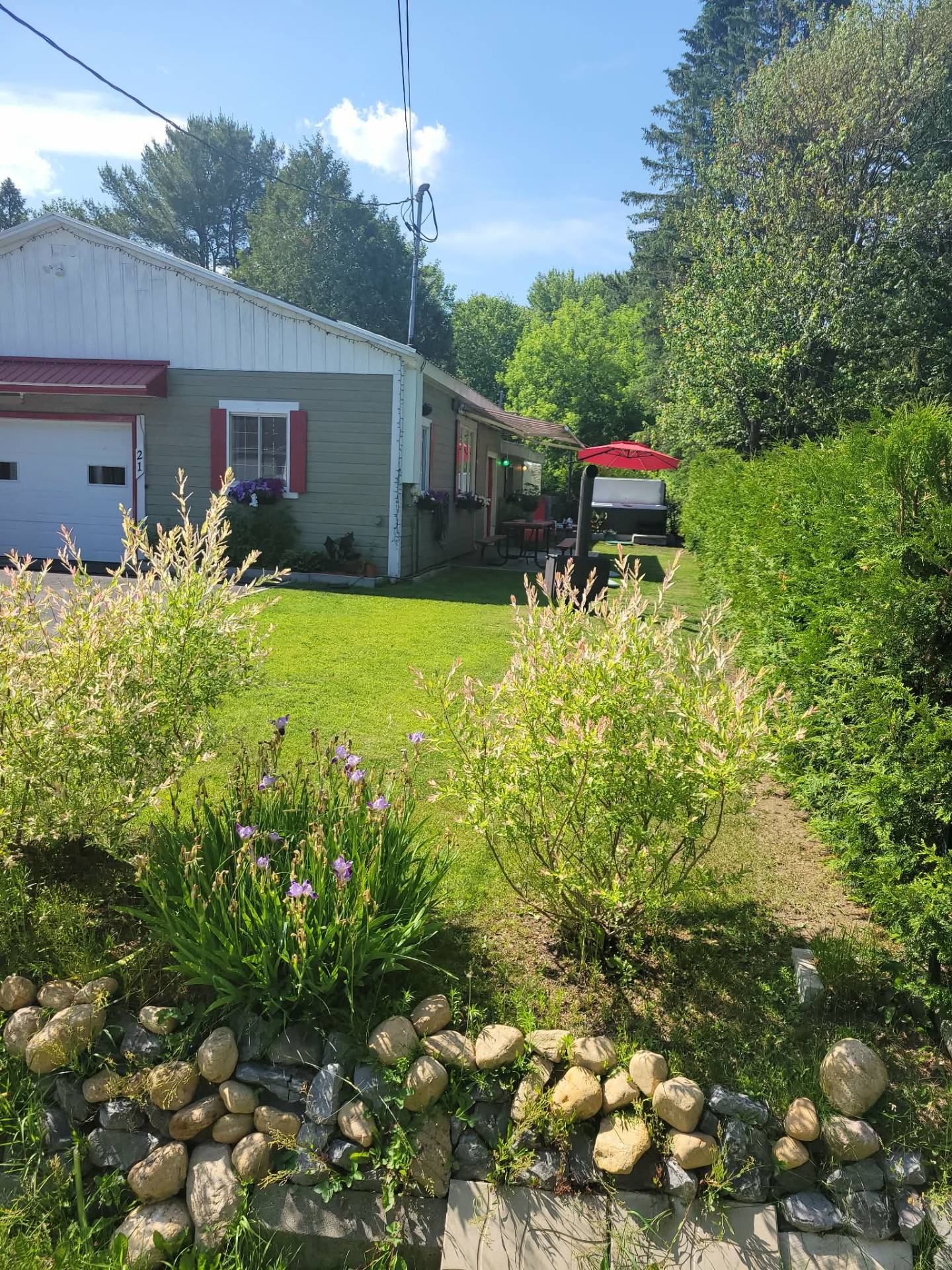 Photo d'été du vendeur