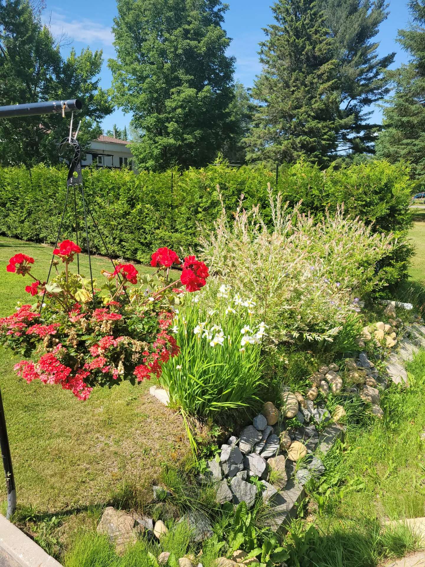 Photo d'été du vendeur