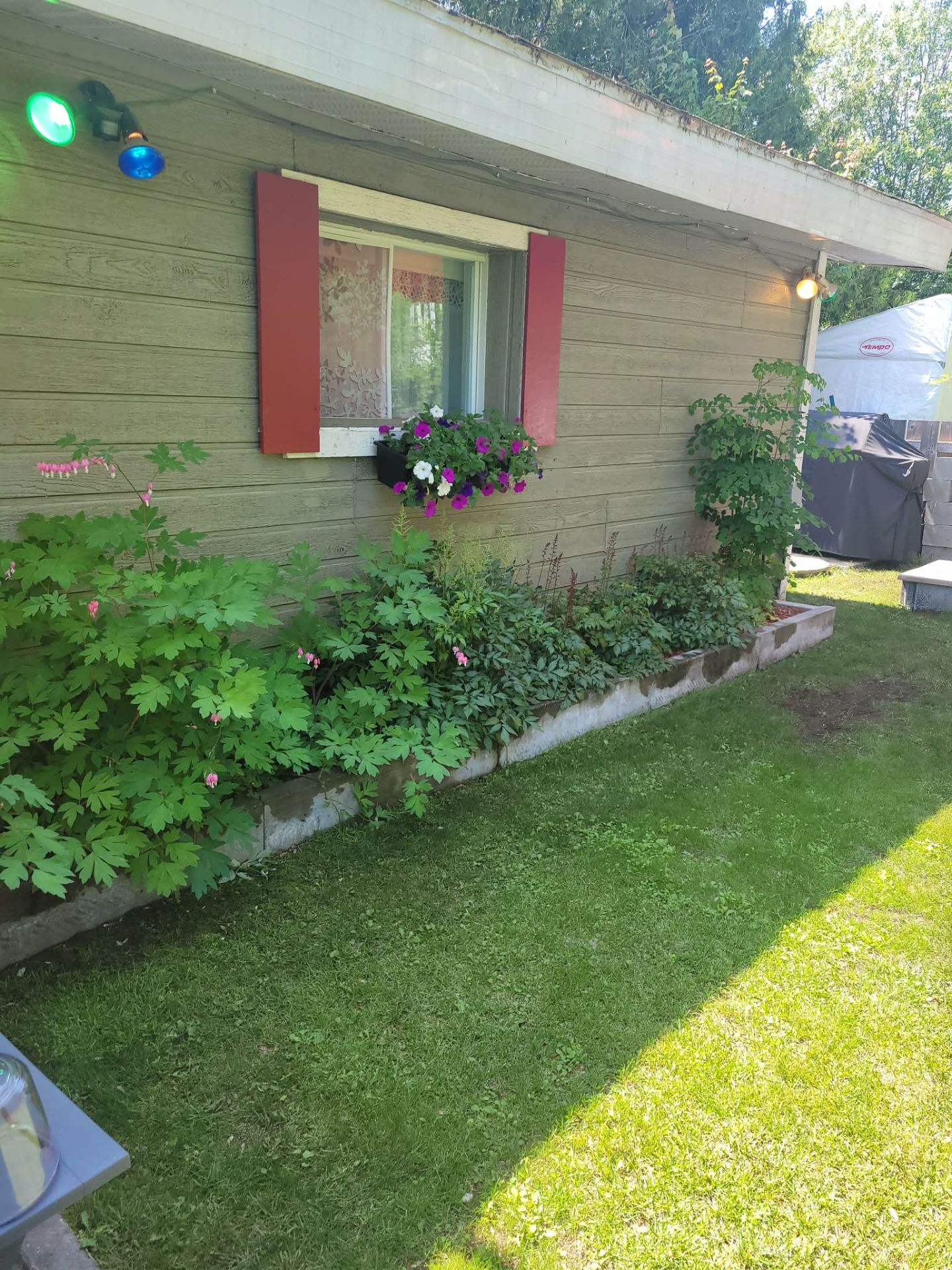 Photo d'été du vendeur