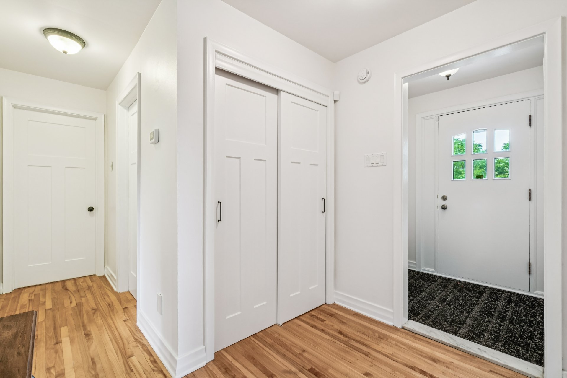 Hall d'entrée/Vestibule