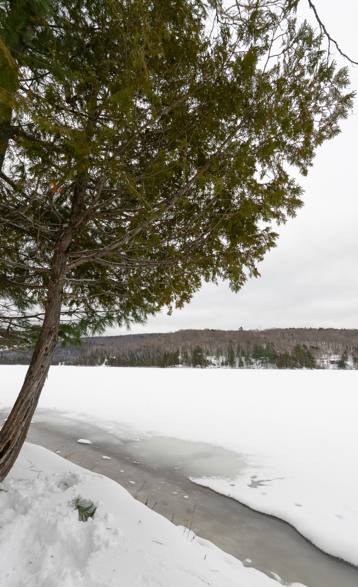 Accès au plan d'eau